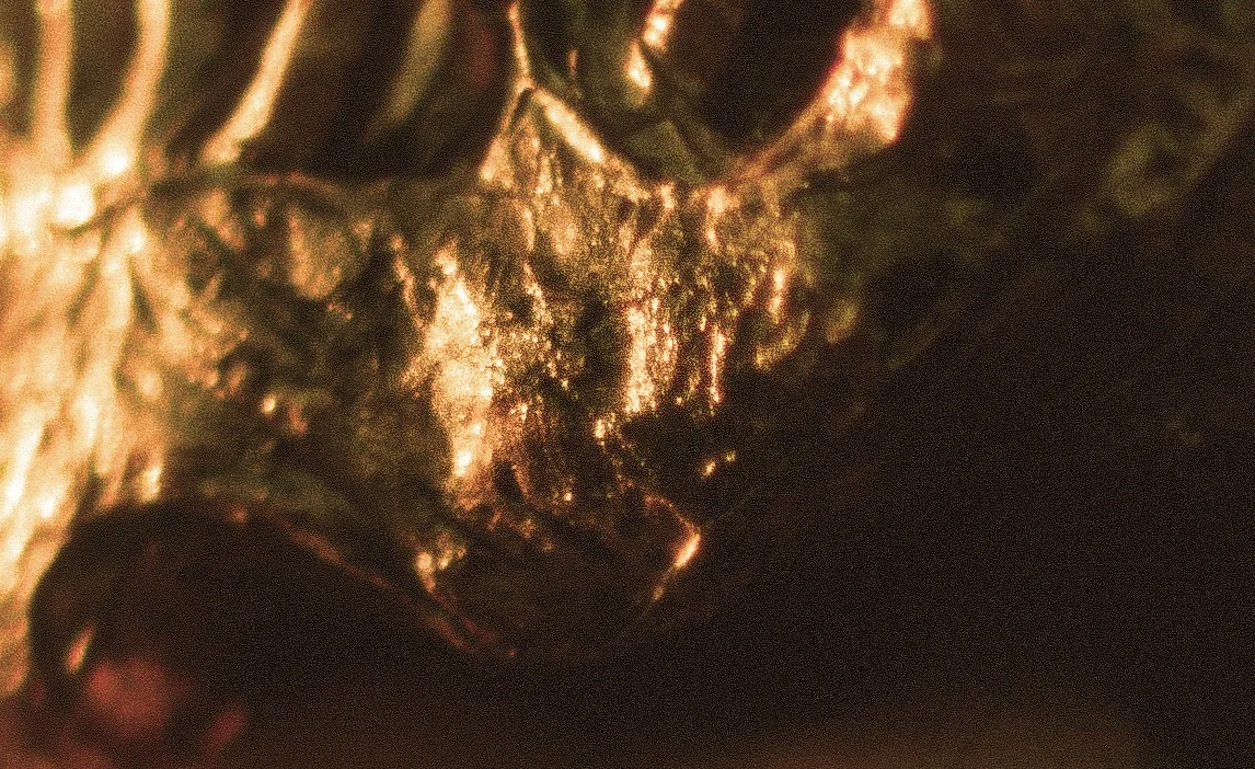 Close up of the point of focus of the previous photo. Pretty good sharpness for a film scan and F1.2 lens.