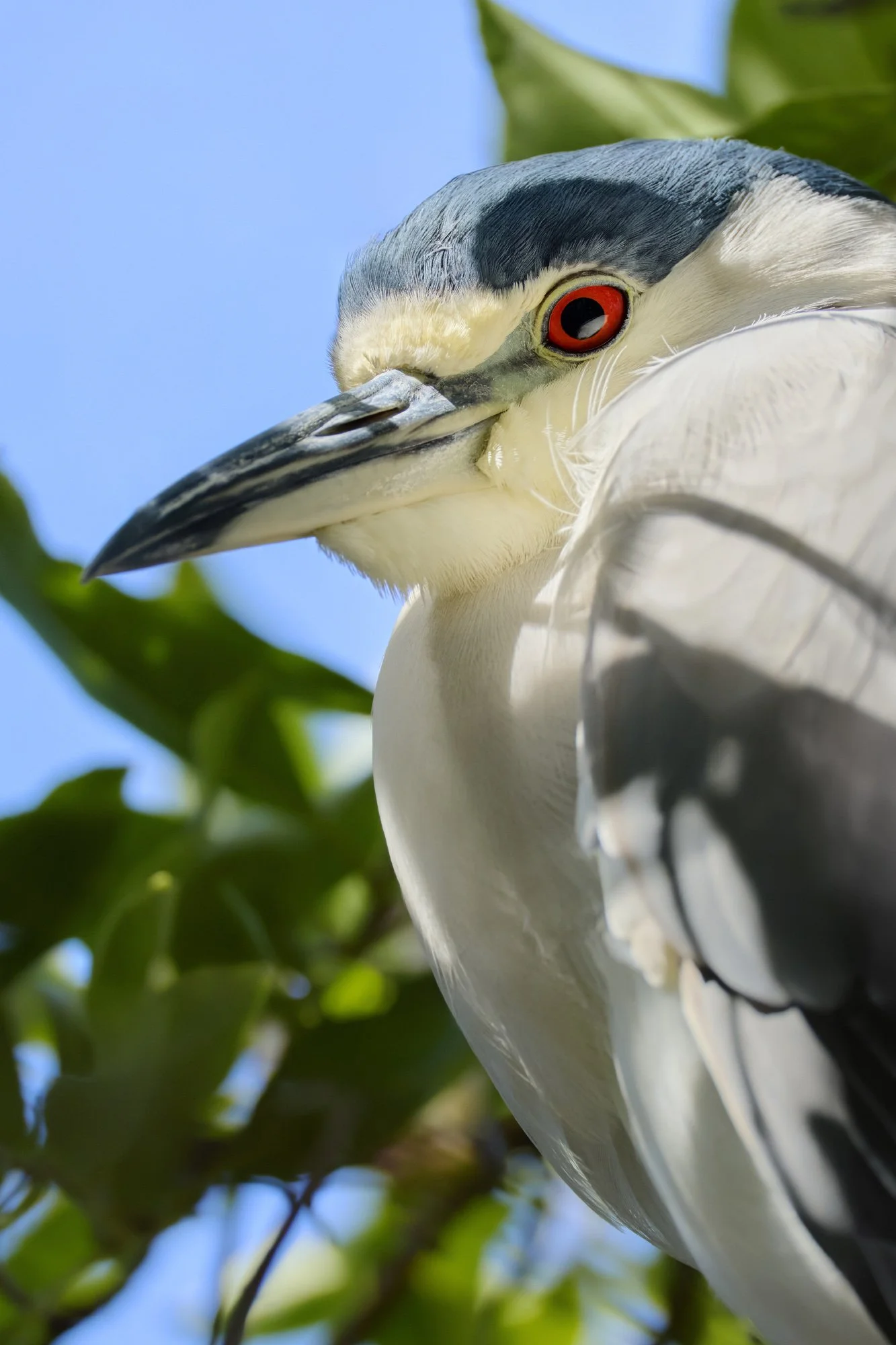 3-6-26 Santa Cruz Harbor 001.jpg