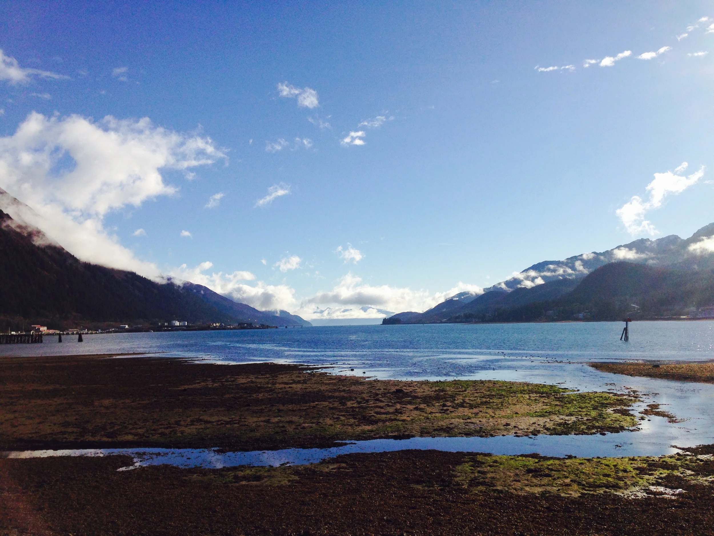 The breezy clarity of midday, 12:15pm. 