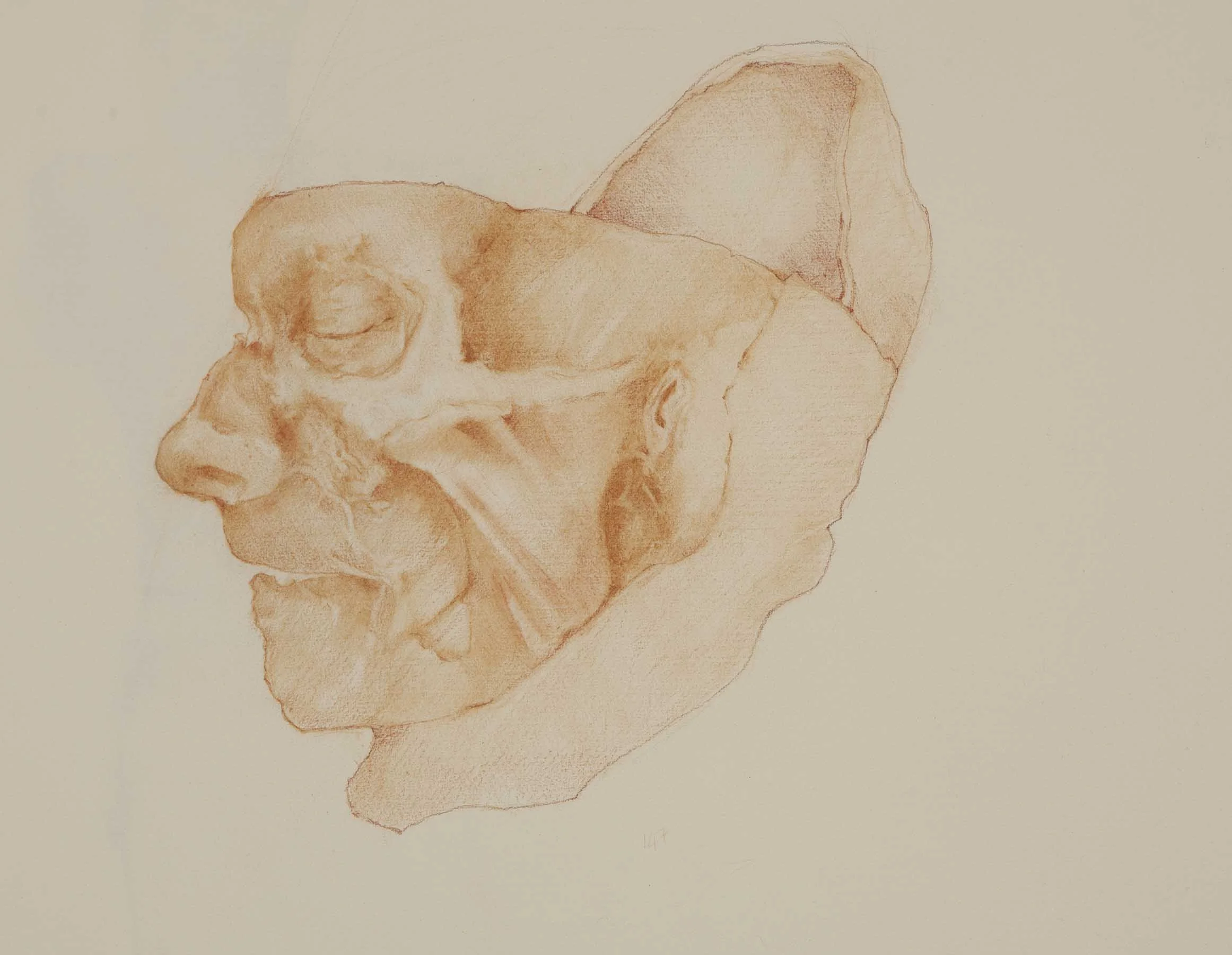 Face 1