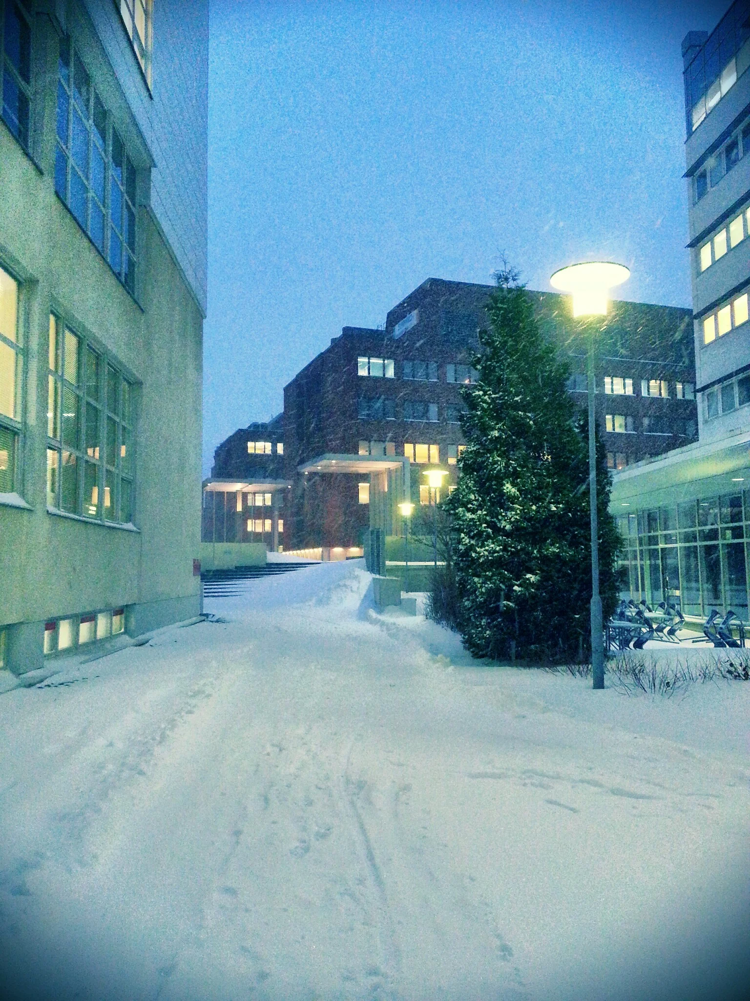 The first snowstorm a week ago