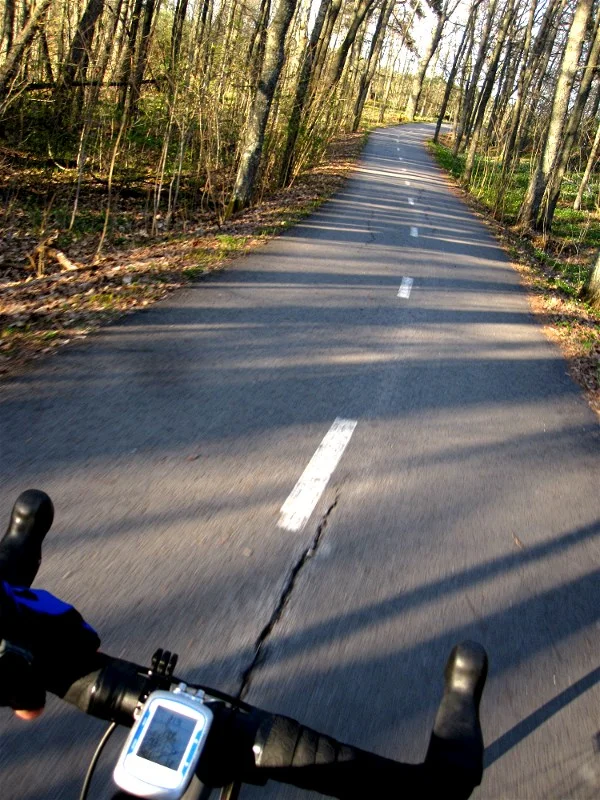 Road cycling season so far