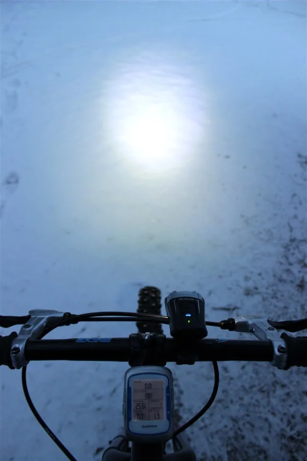 Cycling, snow and pigs