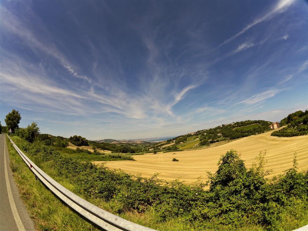 Ancona in the background