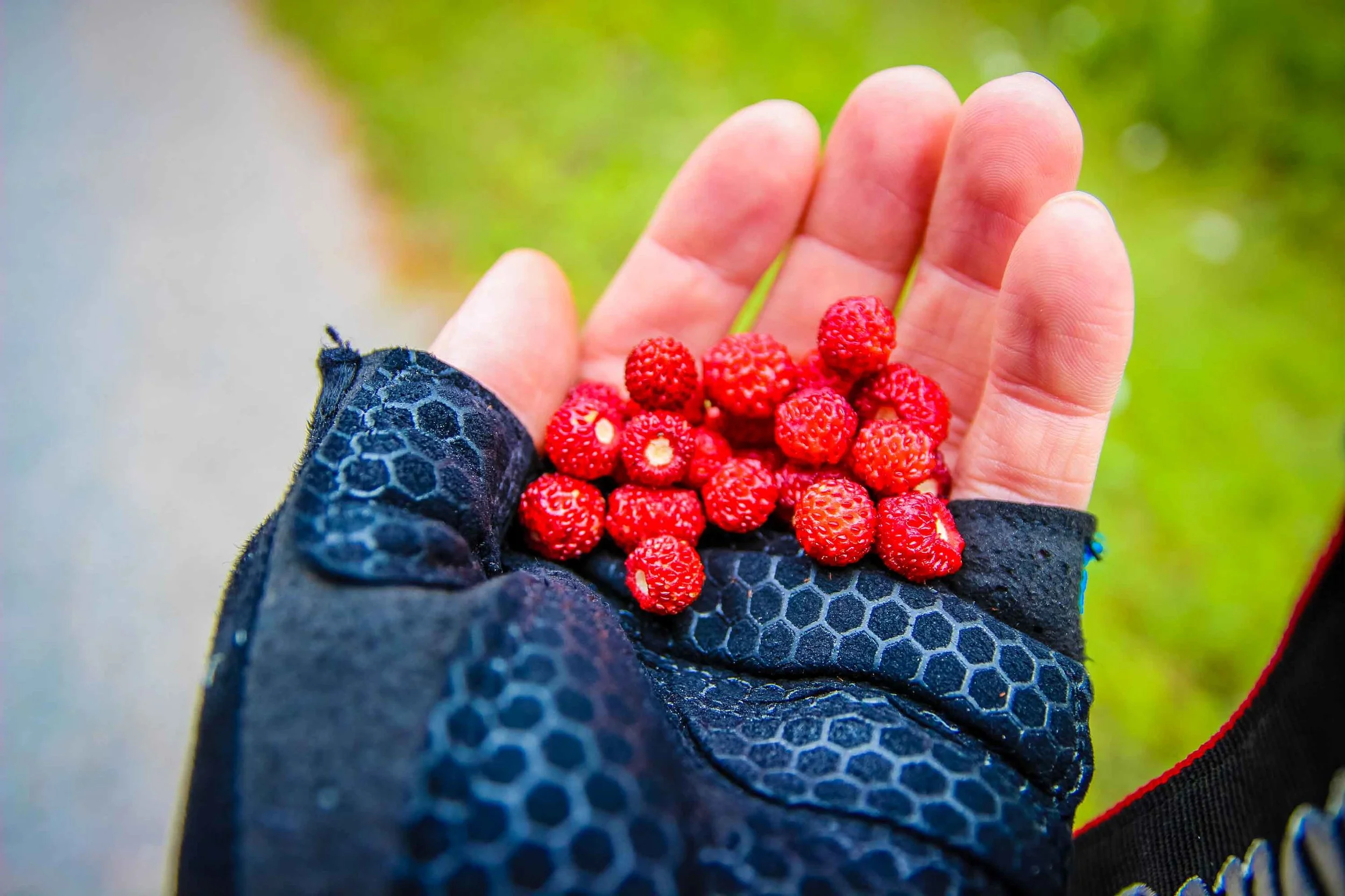 This means summer, nature superfood!