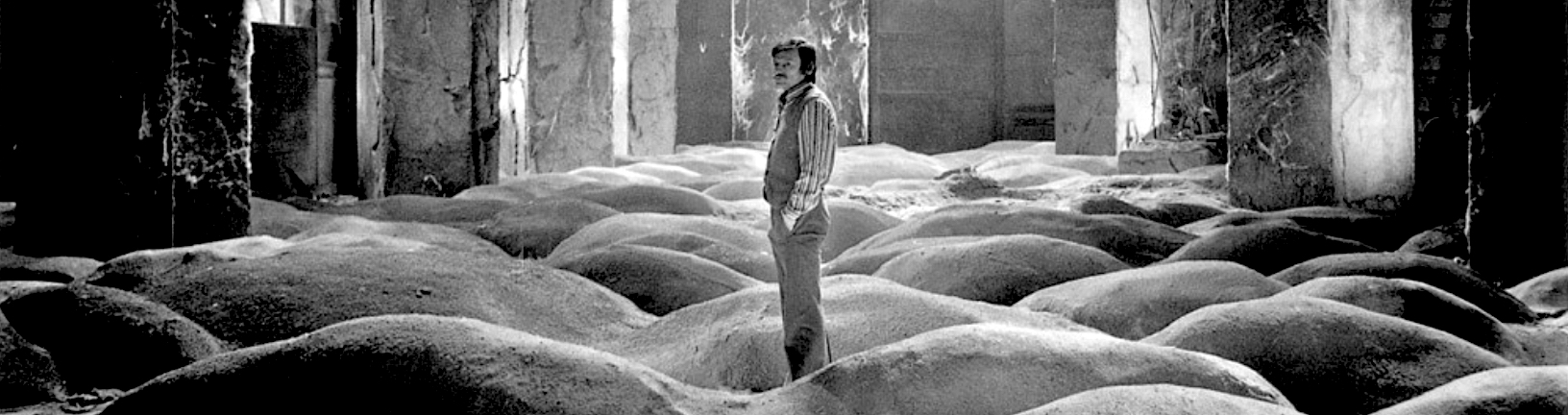 TARKOVSKY-STALKER-EDIT.jpg