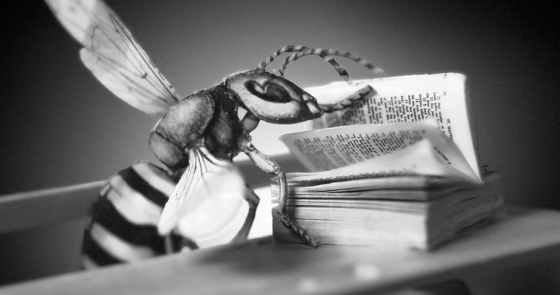 WASP-IMAGE_02.jpg