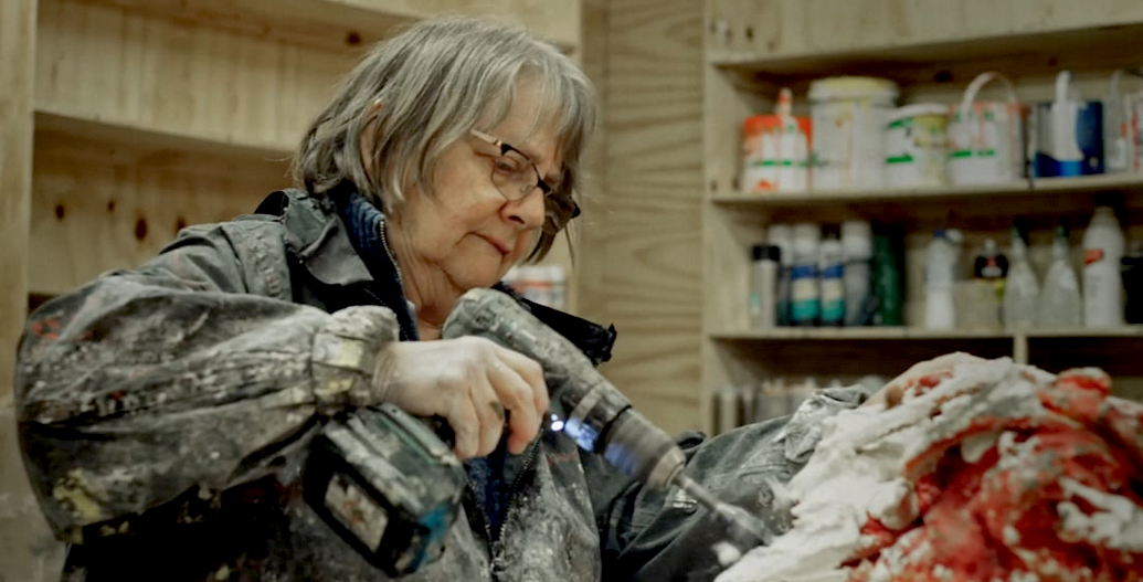 PHYLLIDA-IMAGE_01-TEMP.png