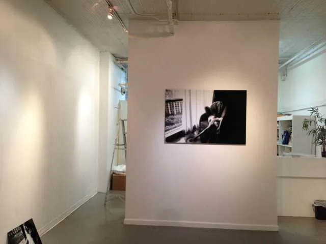 Setting up the gallery