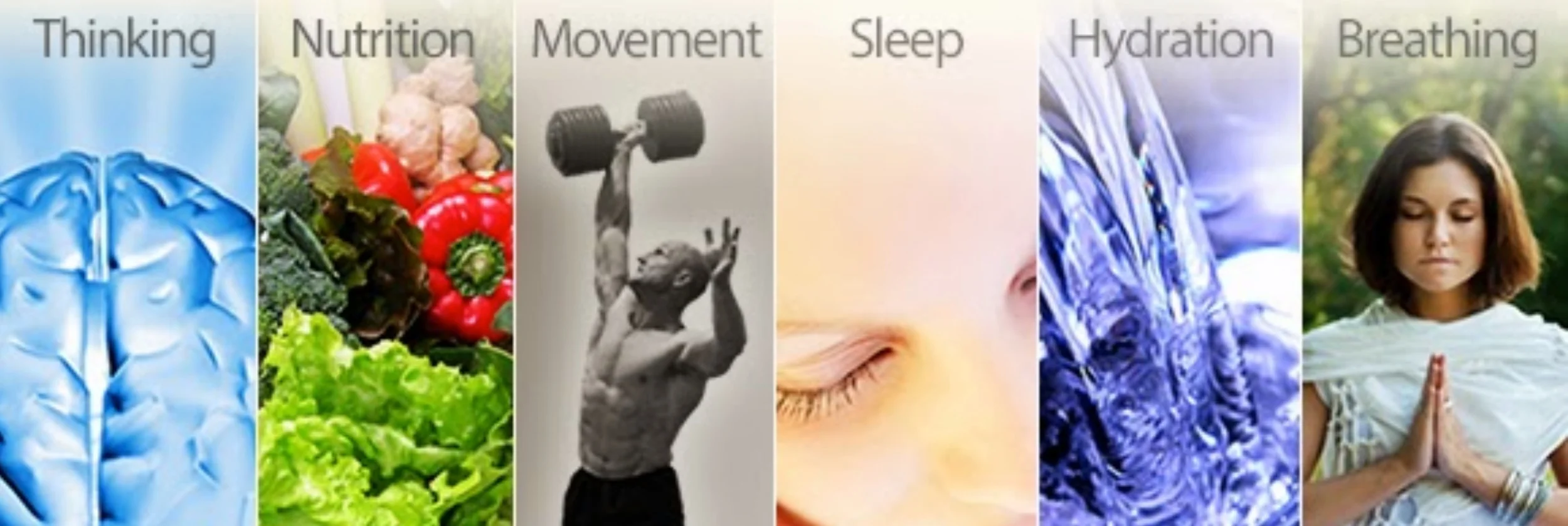 CHEK_foundation_principles.jpg