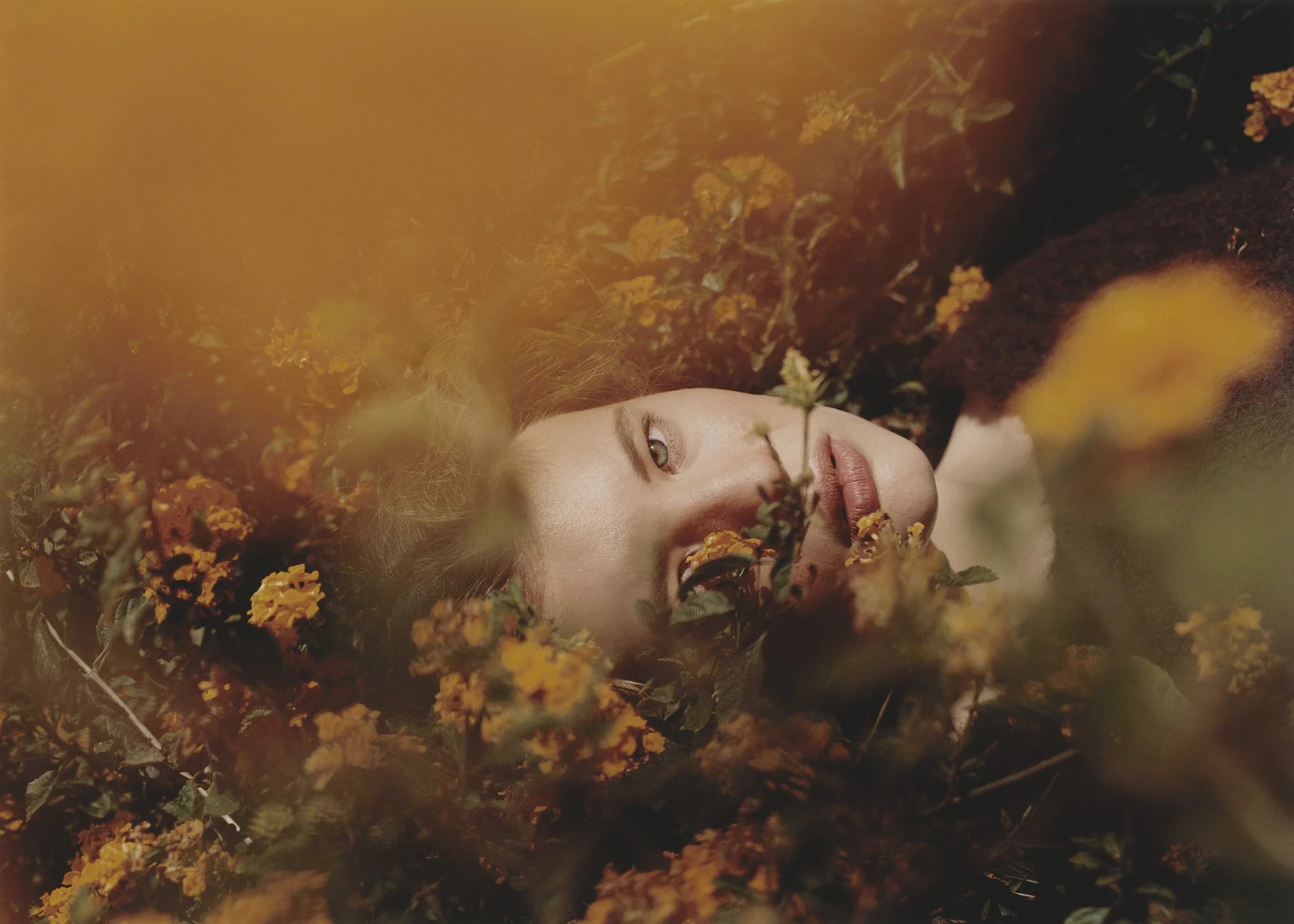 LILLA_LOOK_01_04_Web.jpg