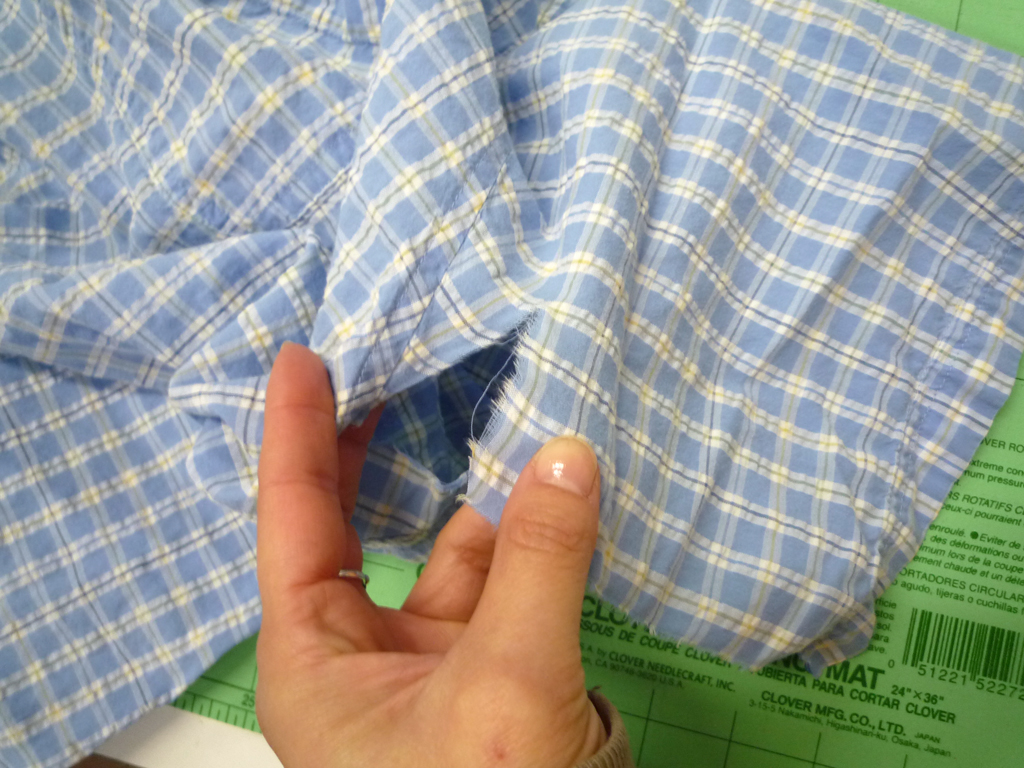 P1060920a.jpg
