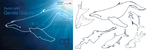 aquarium of georgia flyer