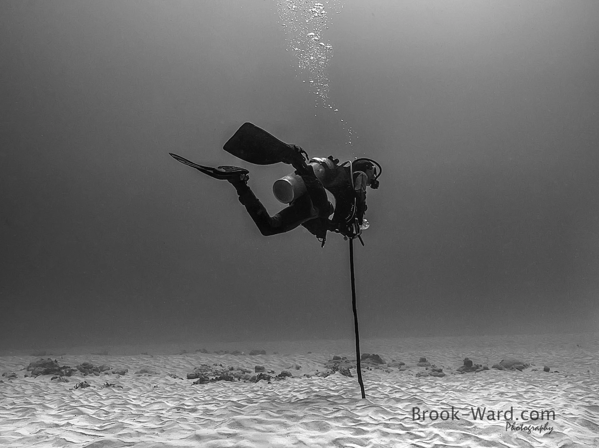 Dive Master Mark