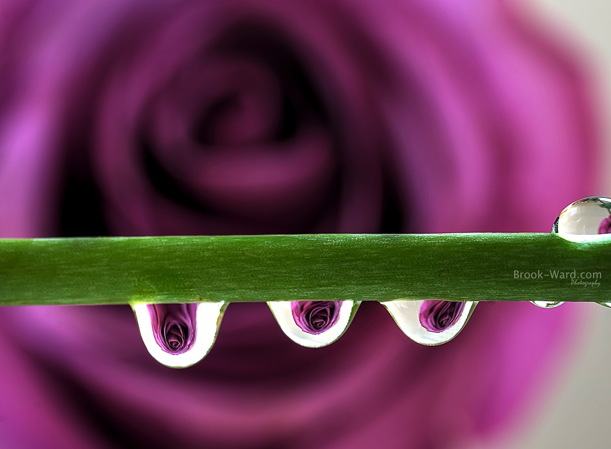 Here is another sample from my photo experiments.