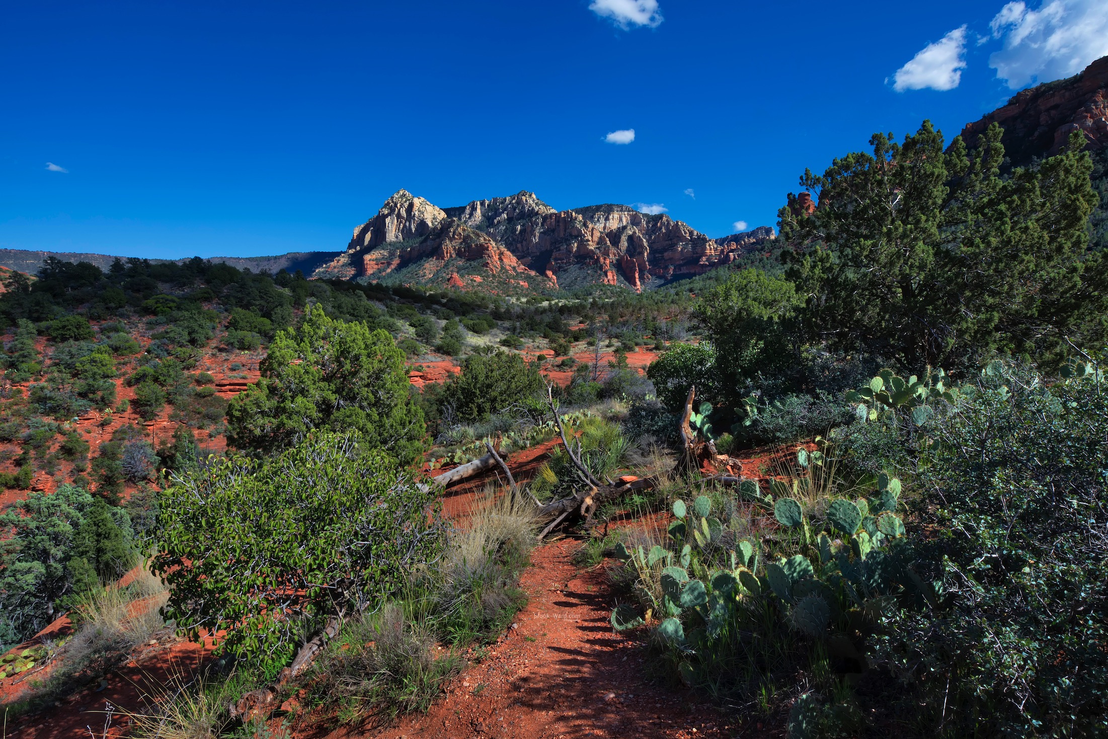 Anyone want to go for a hike?