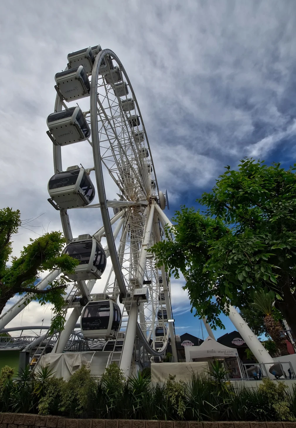 Cape Wheel