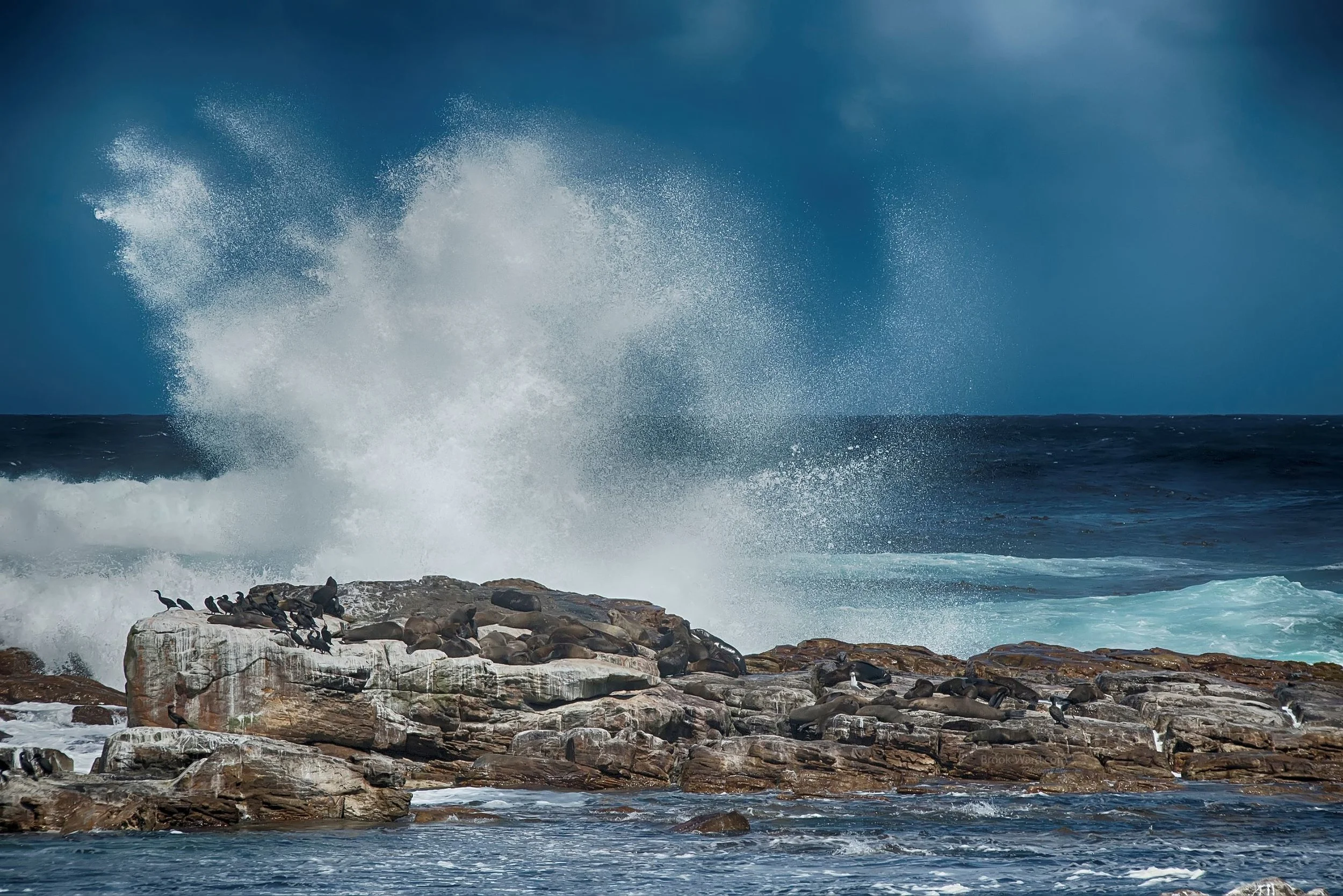 Cape Peninsula 