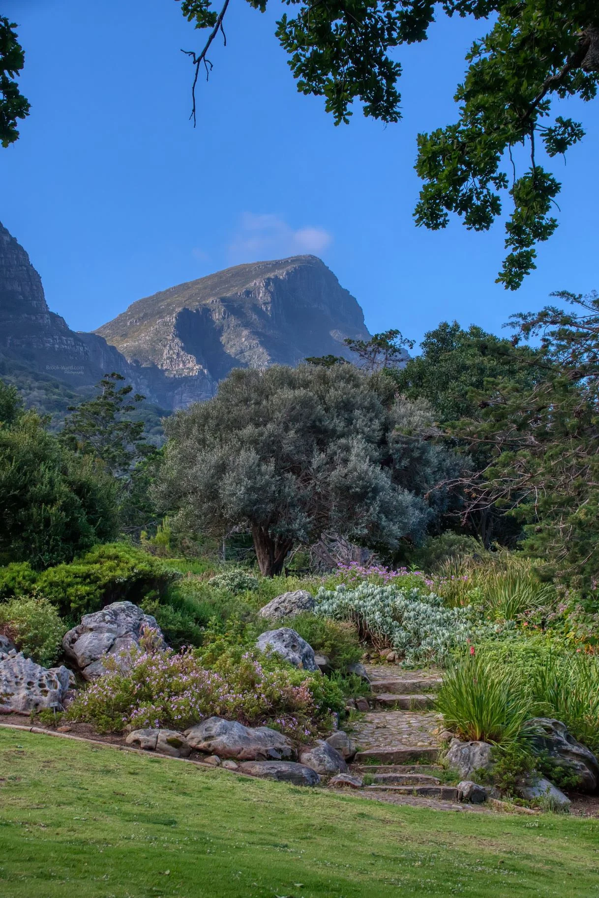 Cape Town Park