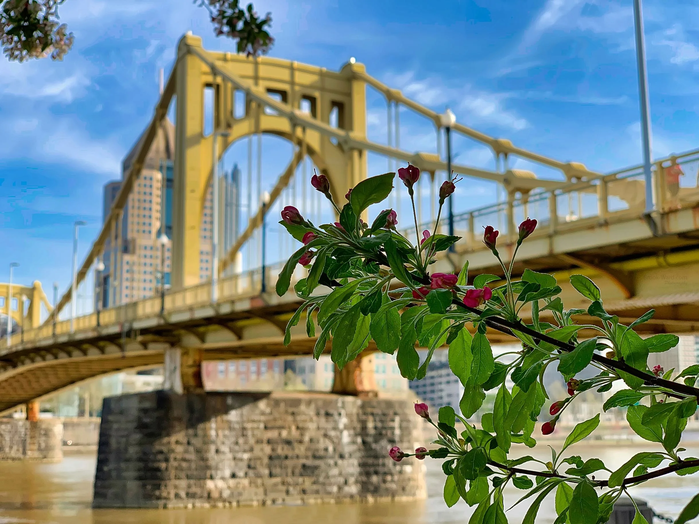 Spring In Pittsburgh