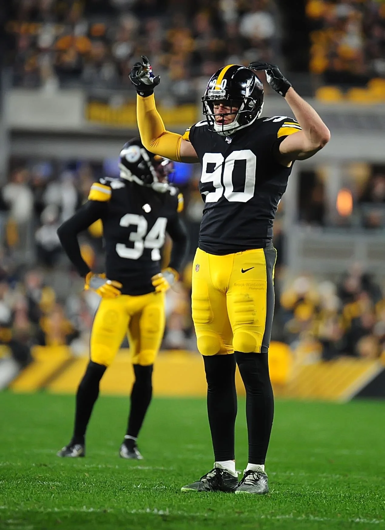 T.J. Watt
