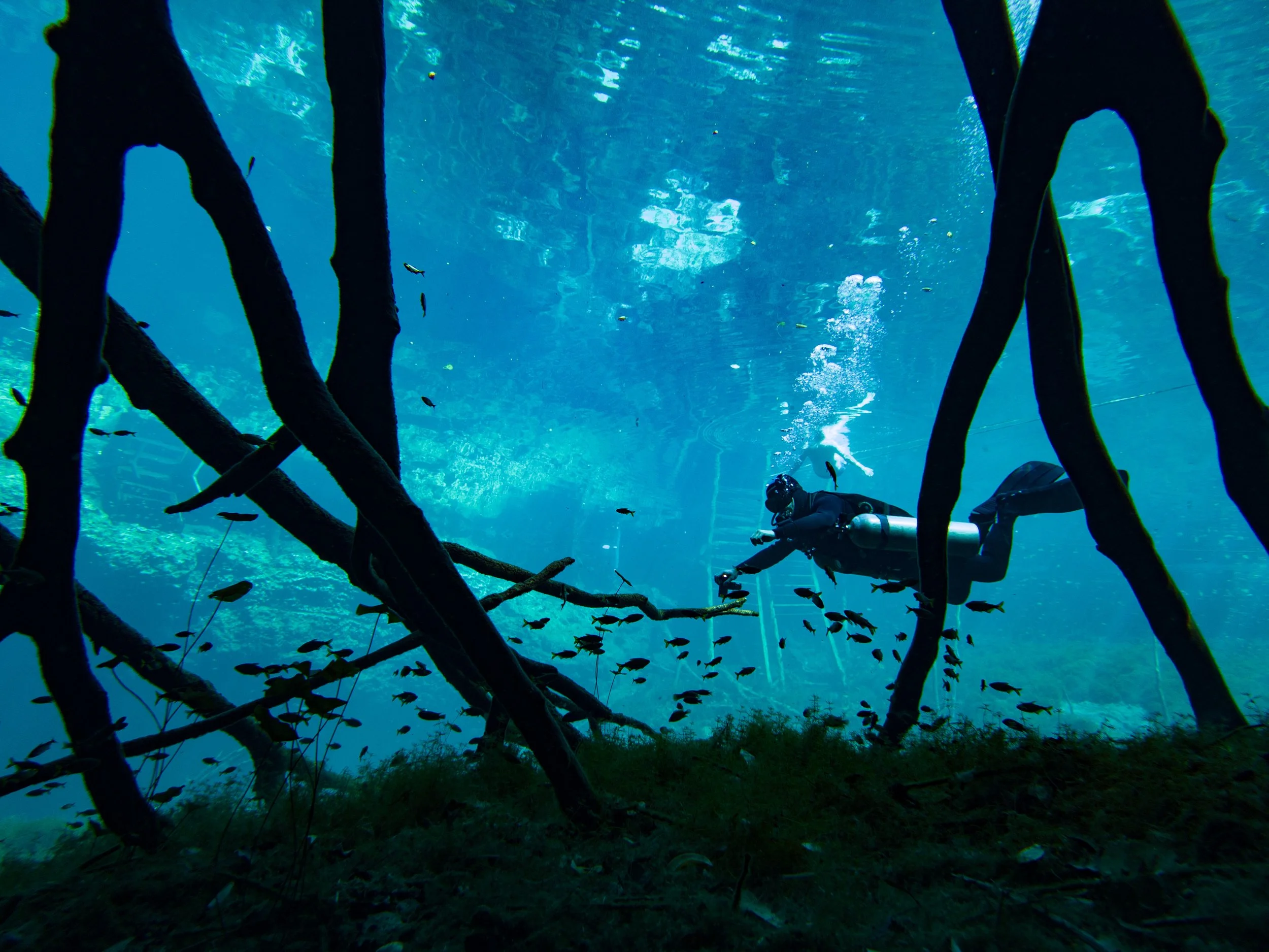 Cenote 2