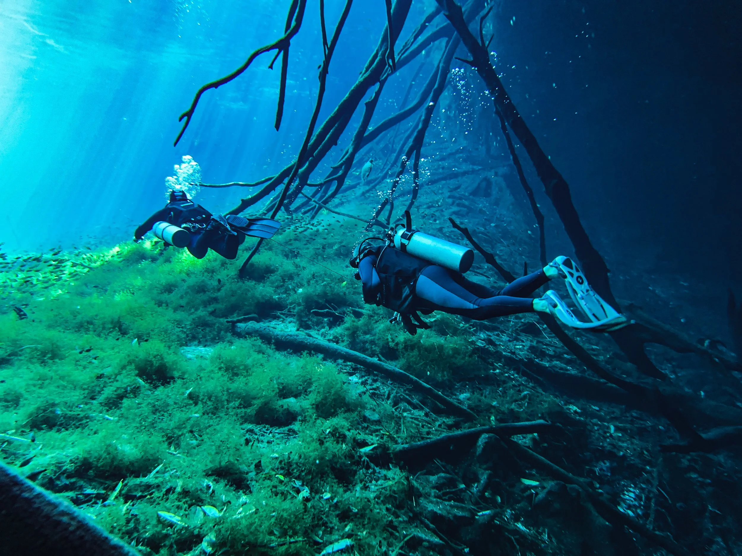 Cenote 3