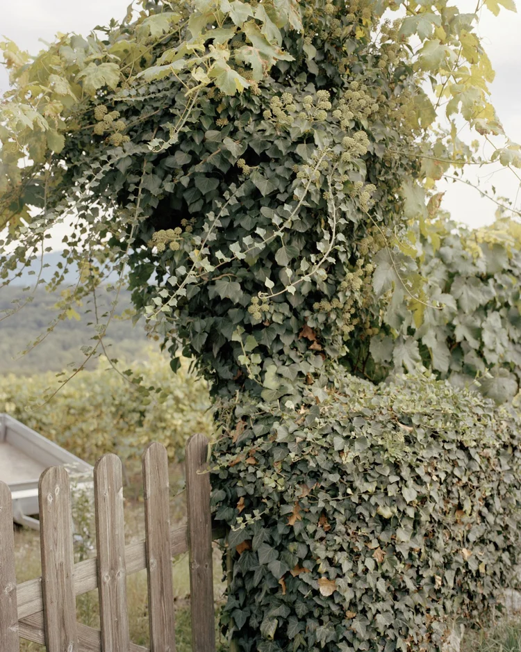 2011_16.jpg