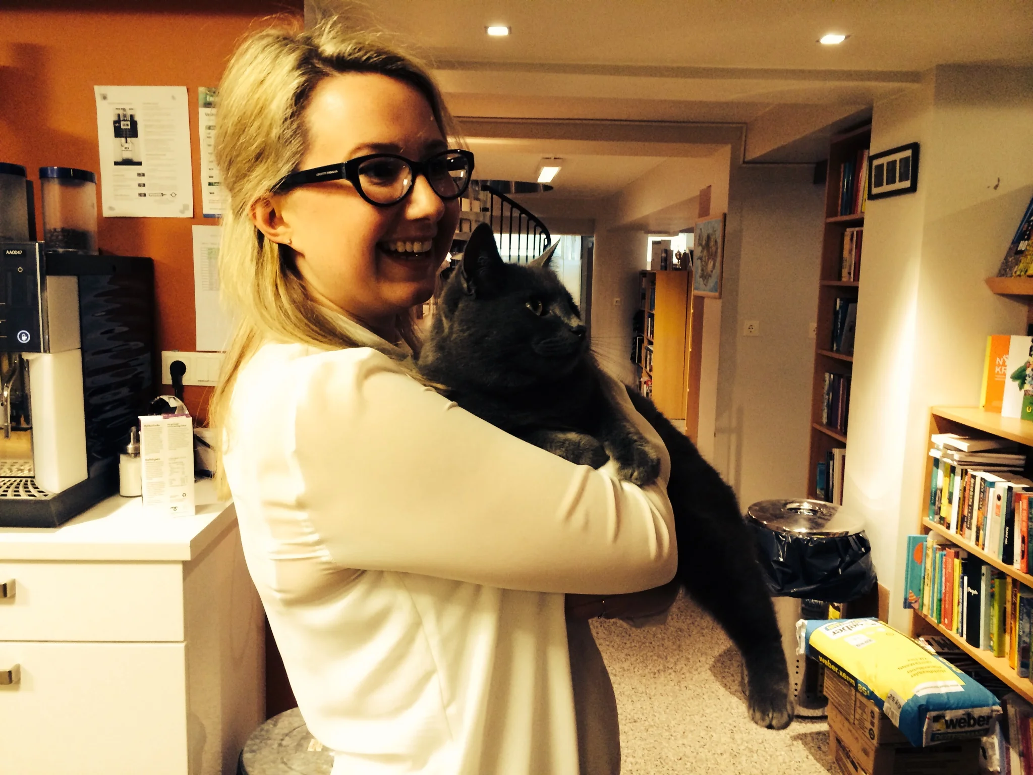 Meeting Nói, the Forlagið office cat.