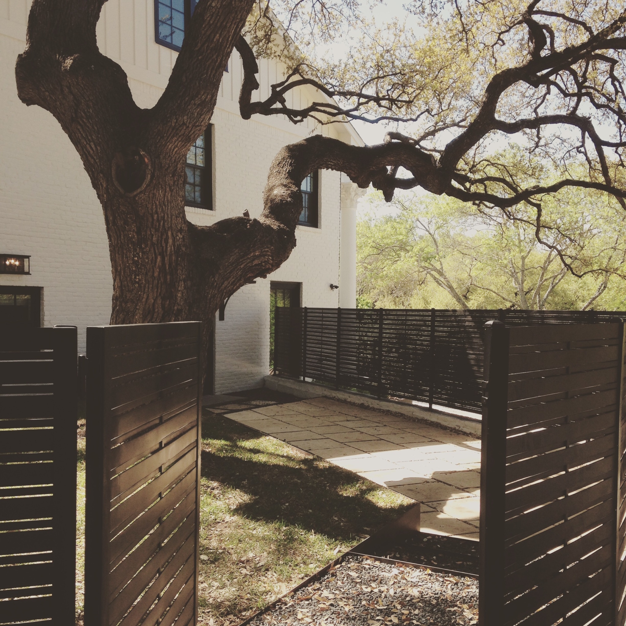Tree Space