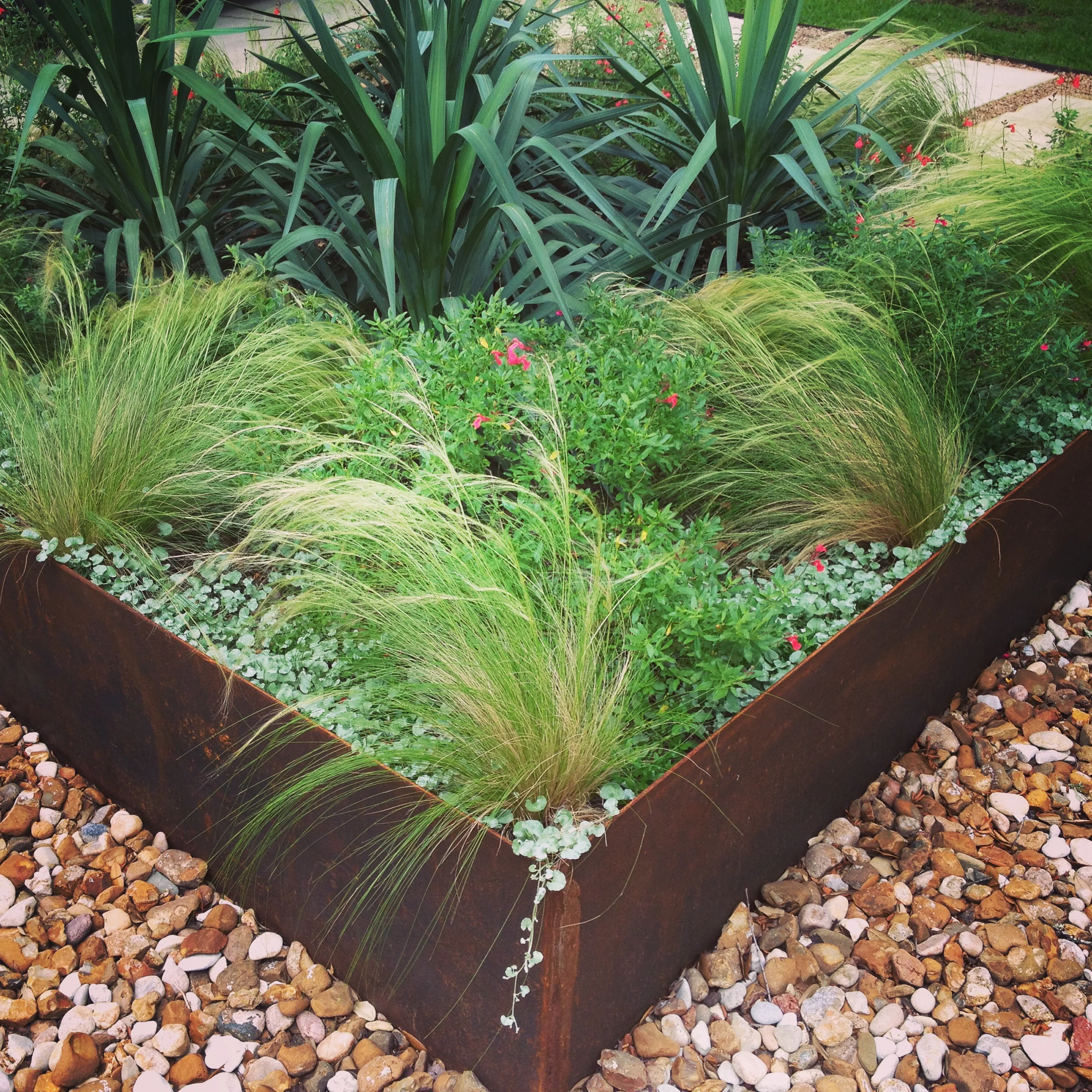 Raised garden bed with ornamental grasses, small green plants, and red flowers, surrounded by gravel.