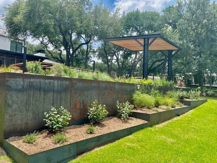 A landscaped backyard with a tiered garden bed filled with plants and succulents, backed by a concrete retaining wall and a modern pergola, surrounded by green grass and tall trees.