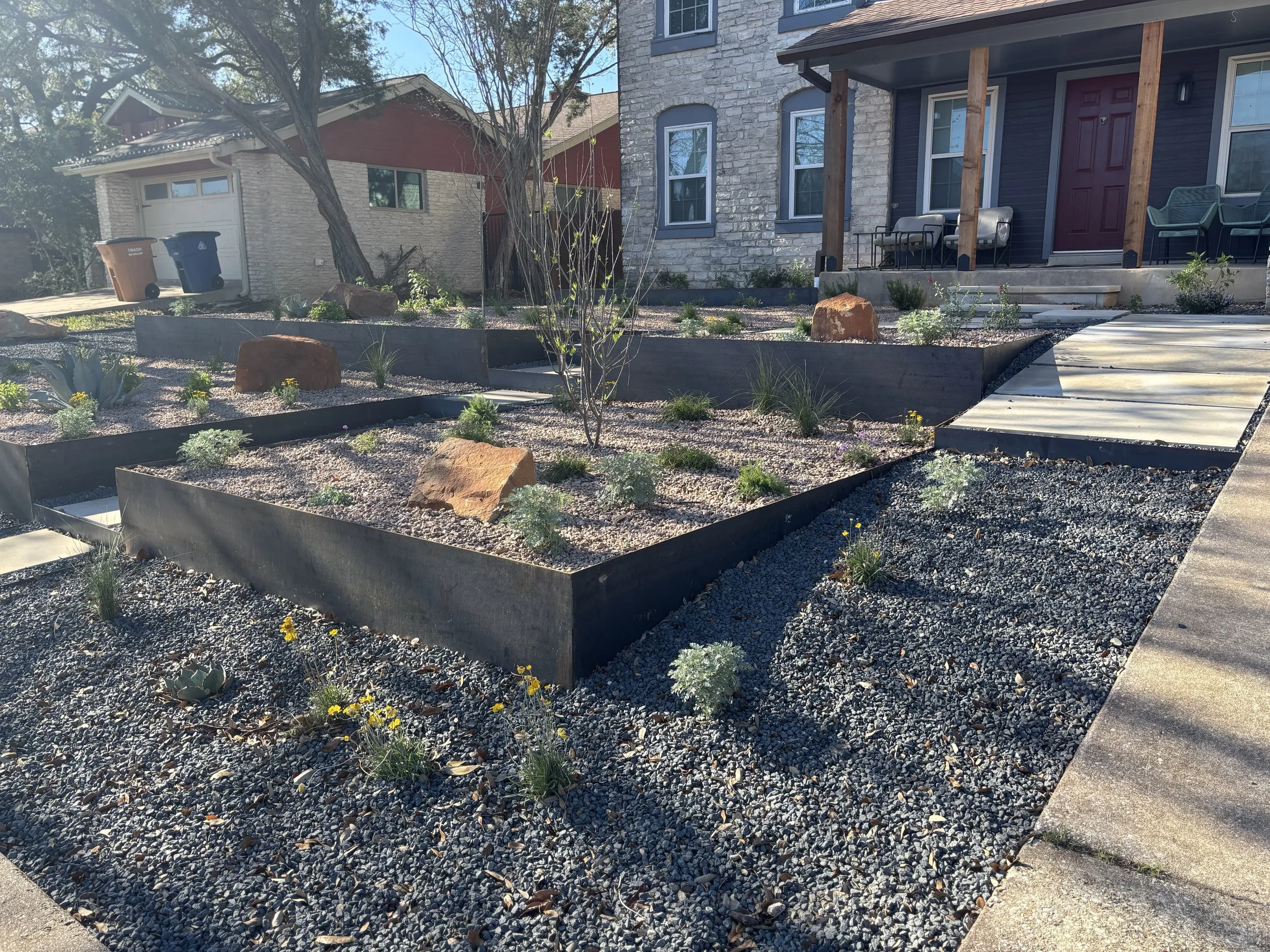 Raised Steel Edging with all native plantings.