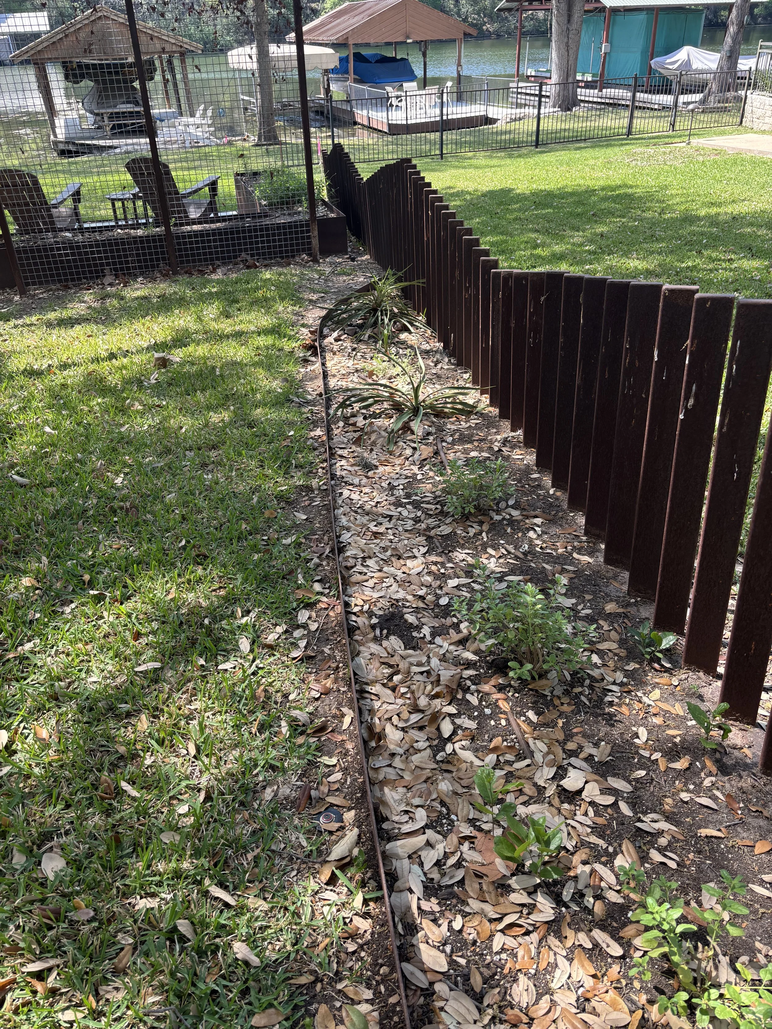 Custom Steel Fencing and plantings