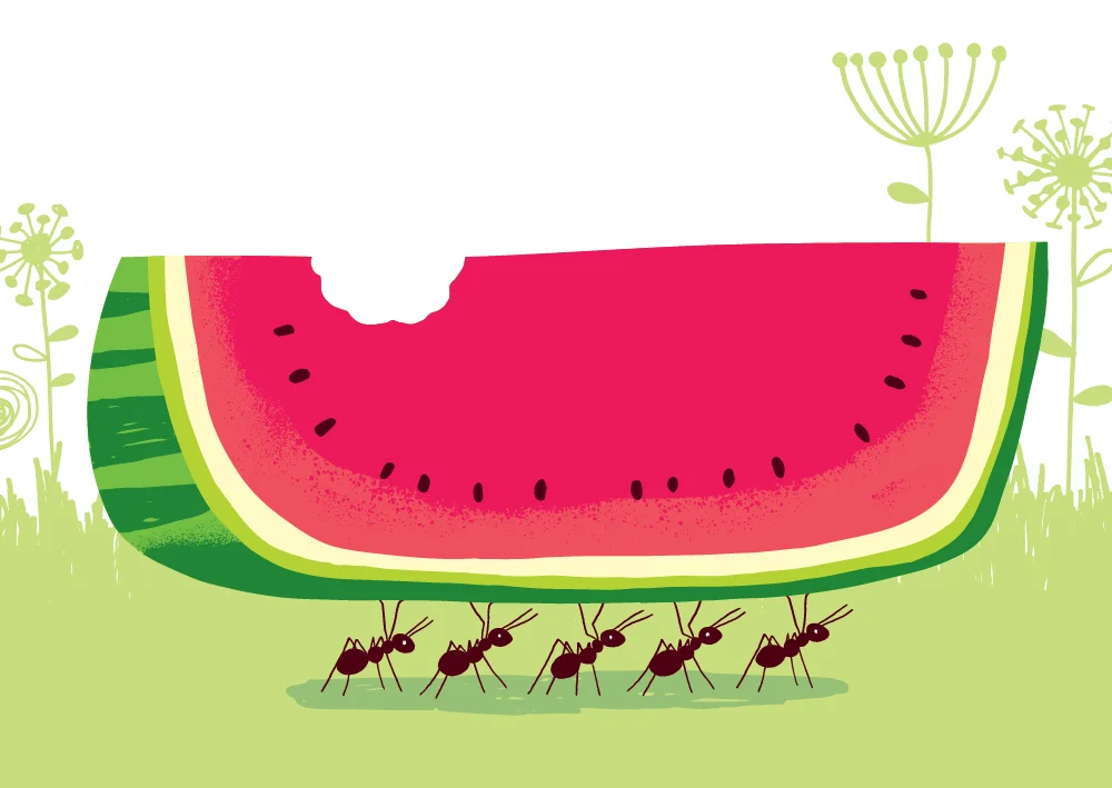 watermelon_ants.jpg