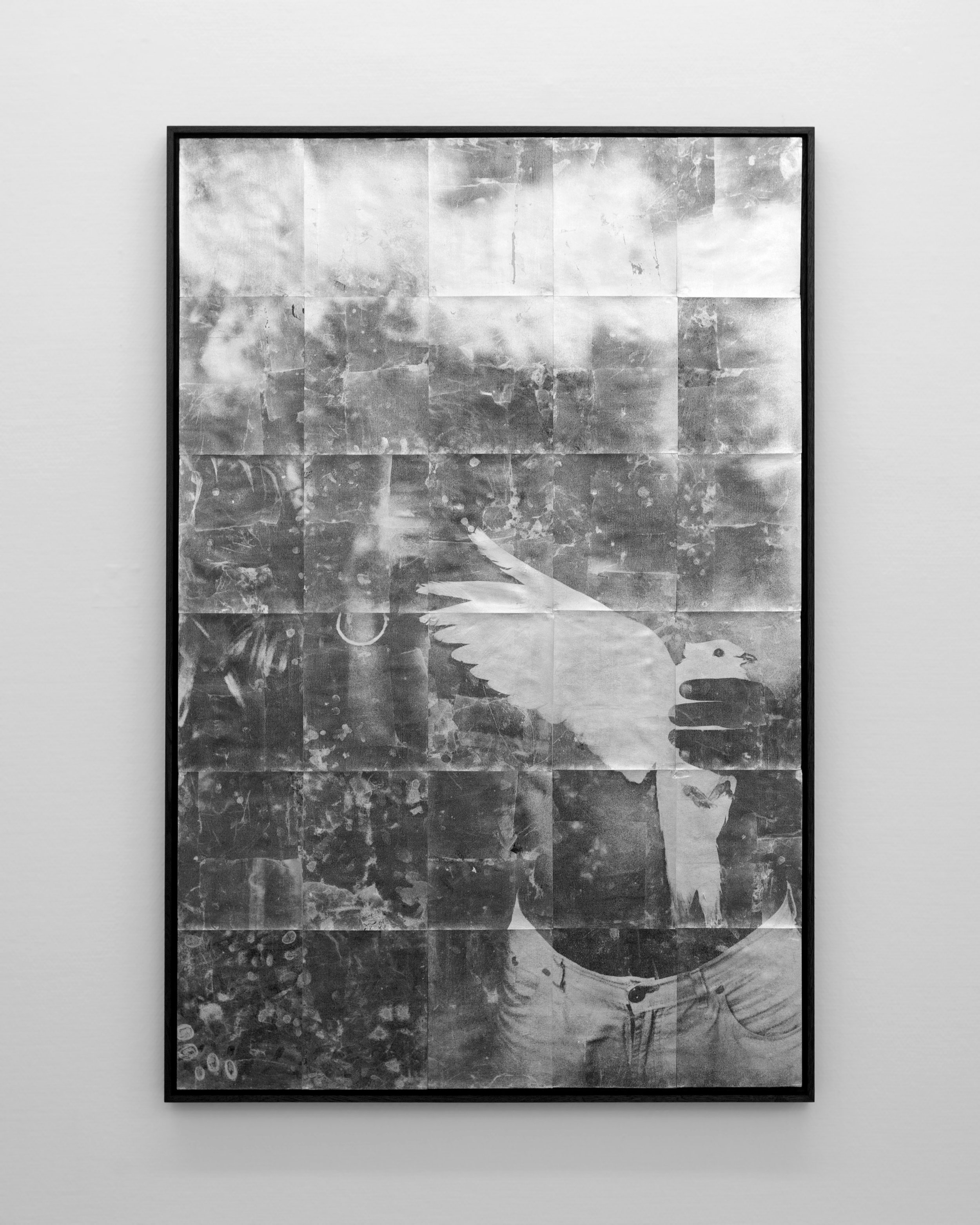  Untitled, 88 x 133 cm, 2017, gelatin silver on silver. 