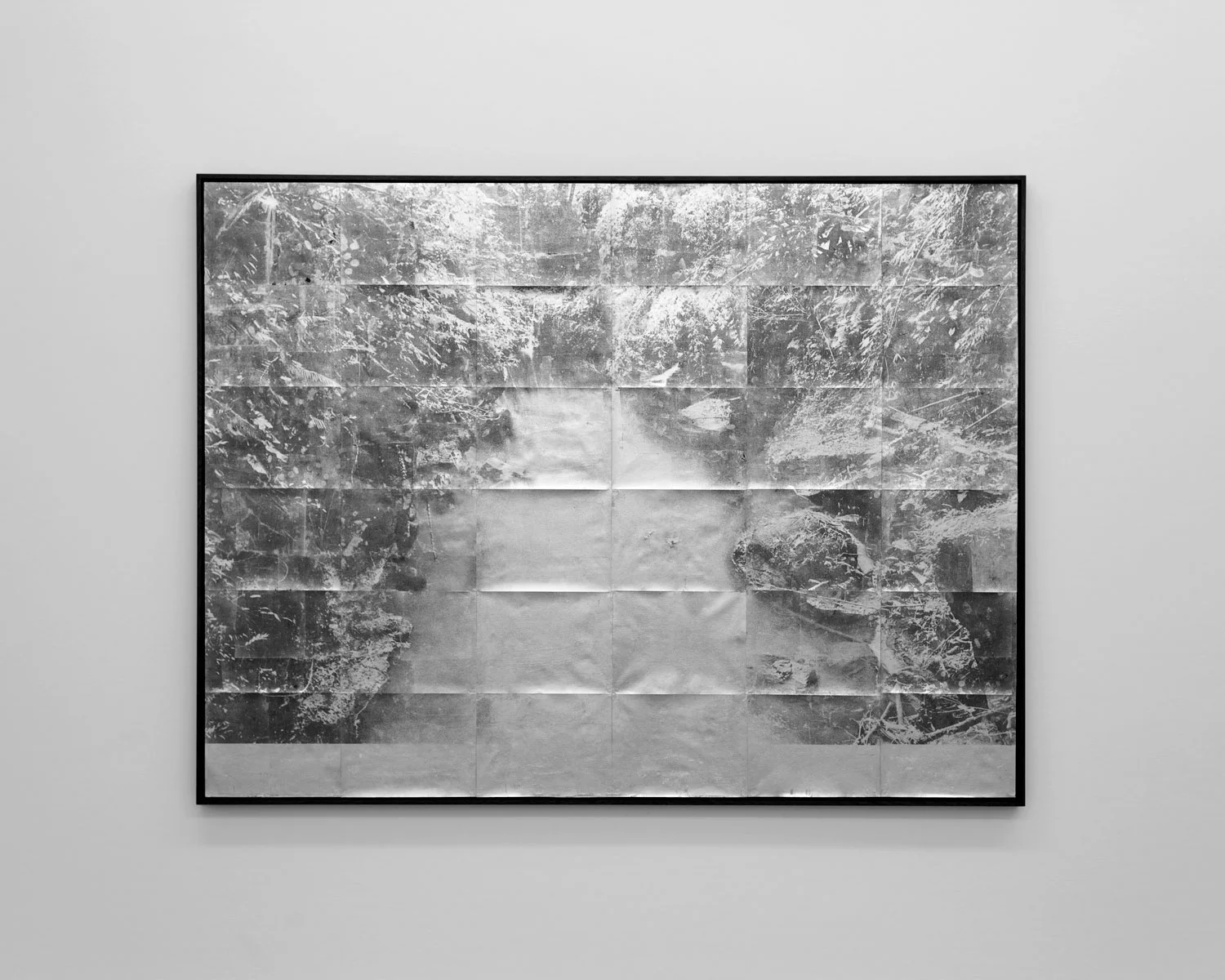  River M, trail, 162 x 124, 2017, gelatin silver on silver. 