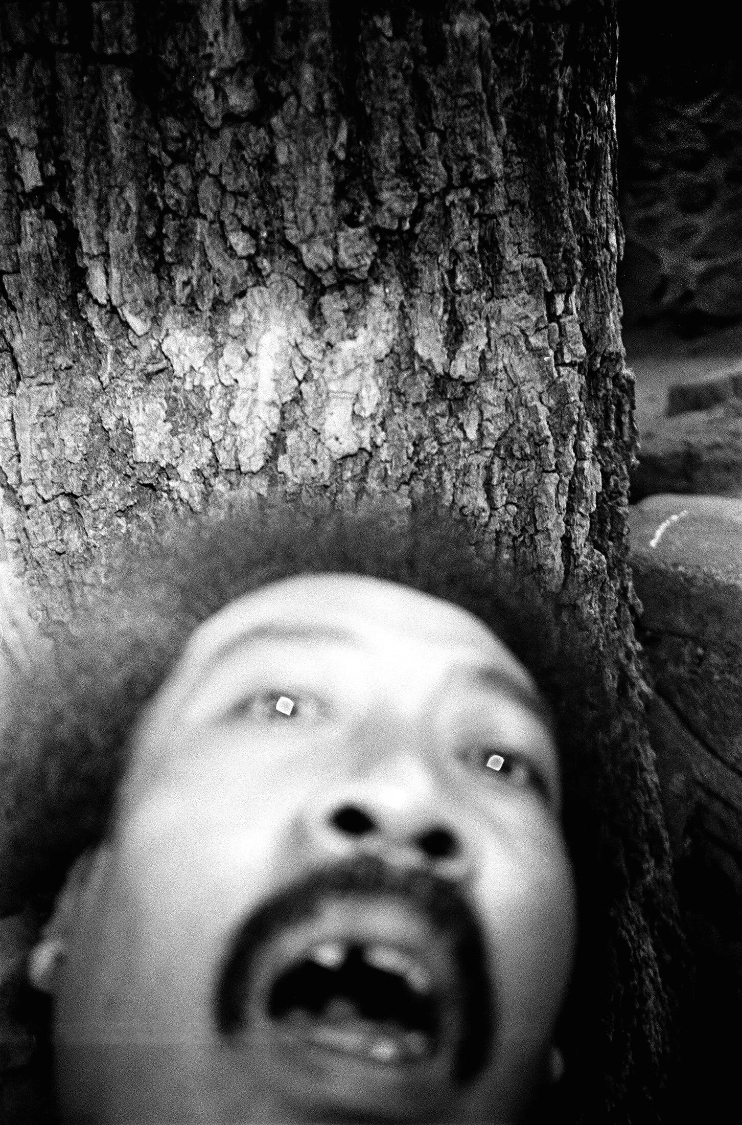 albert grøndahl_albert grondahl_3.jpg