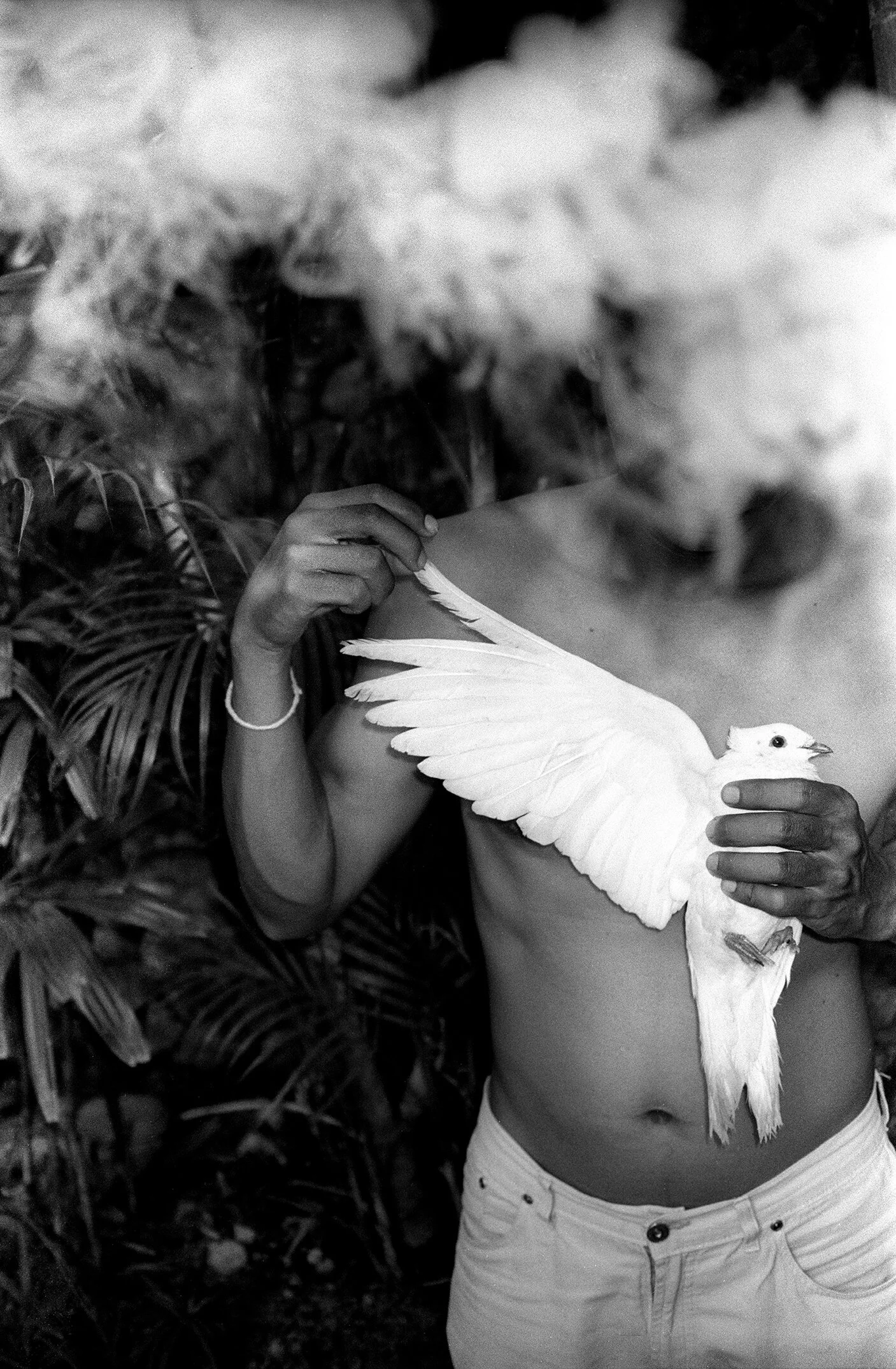 albert grøndahl_albert grondahl_4.jpg