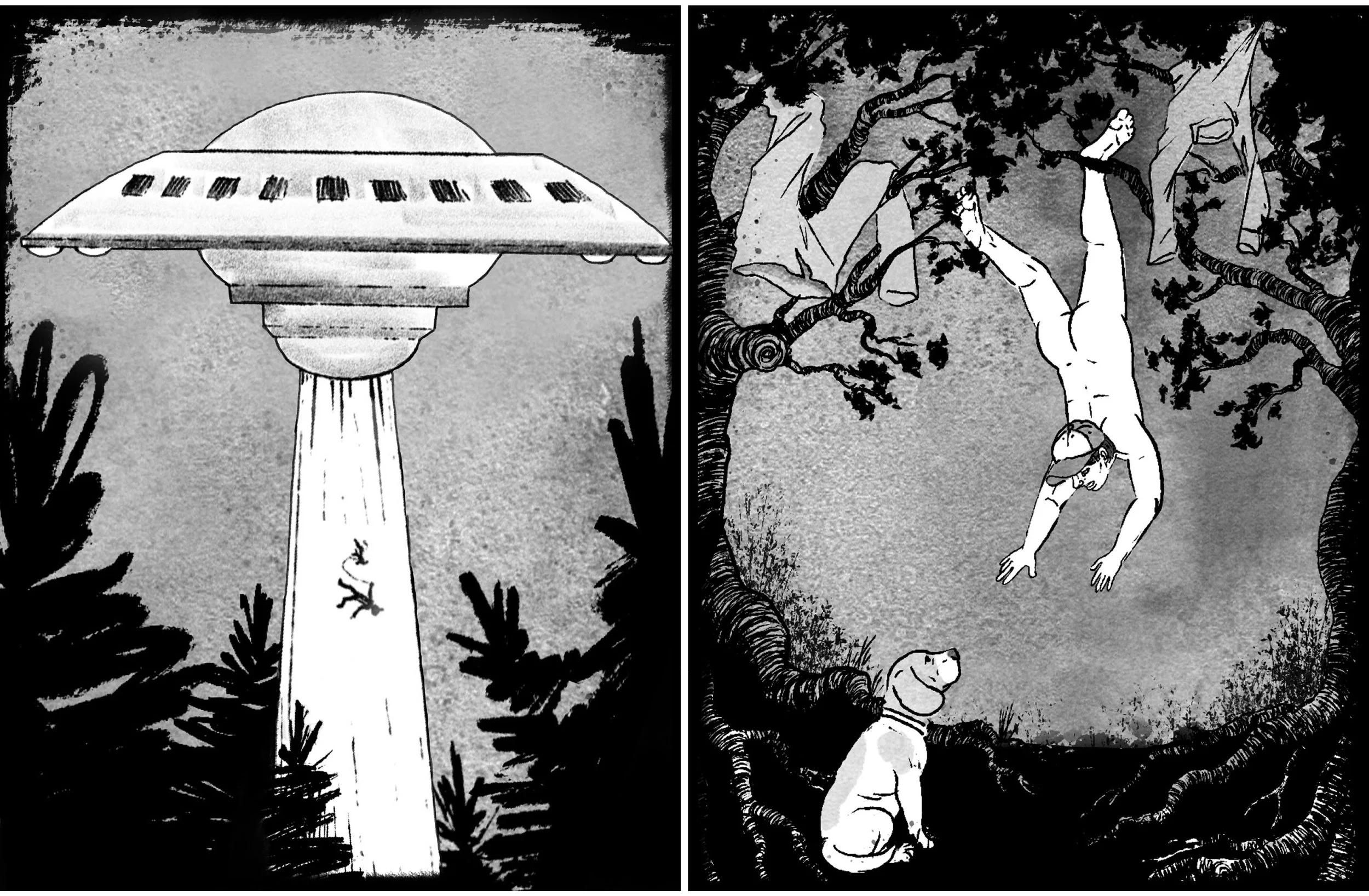 Paws Probes, and Other Planets 