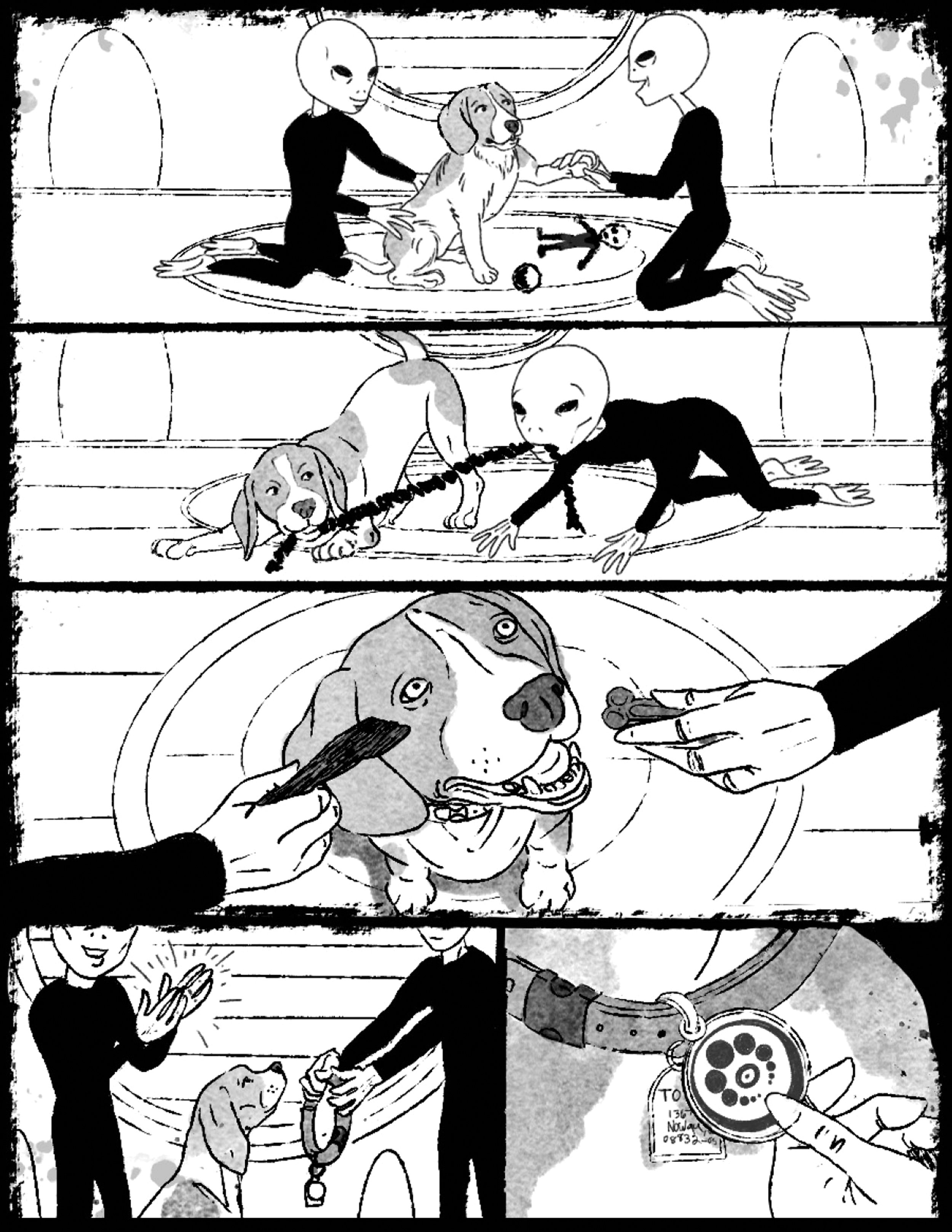 Page6.jpg