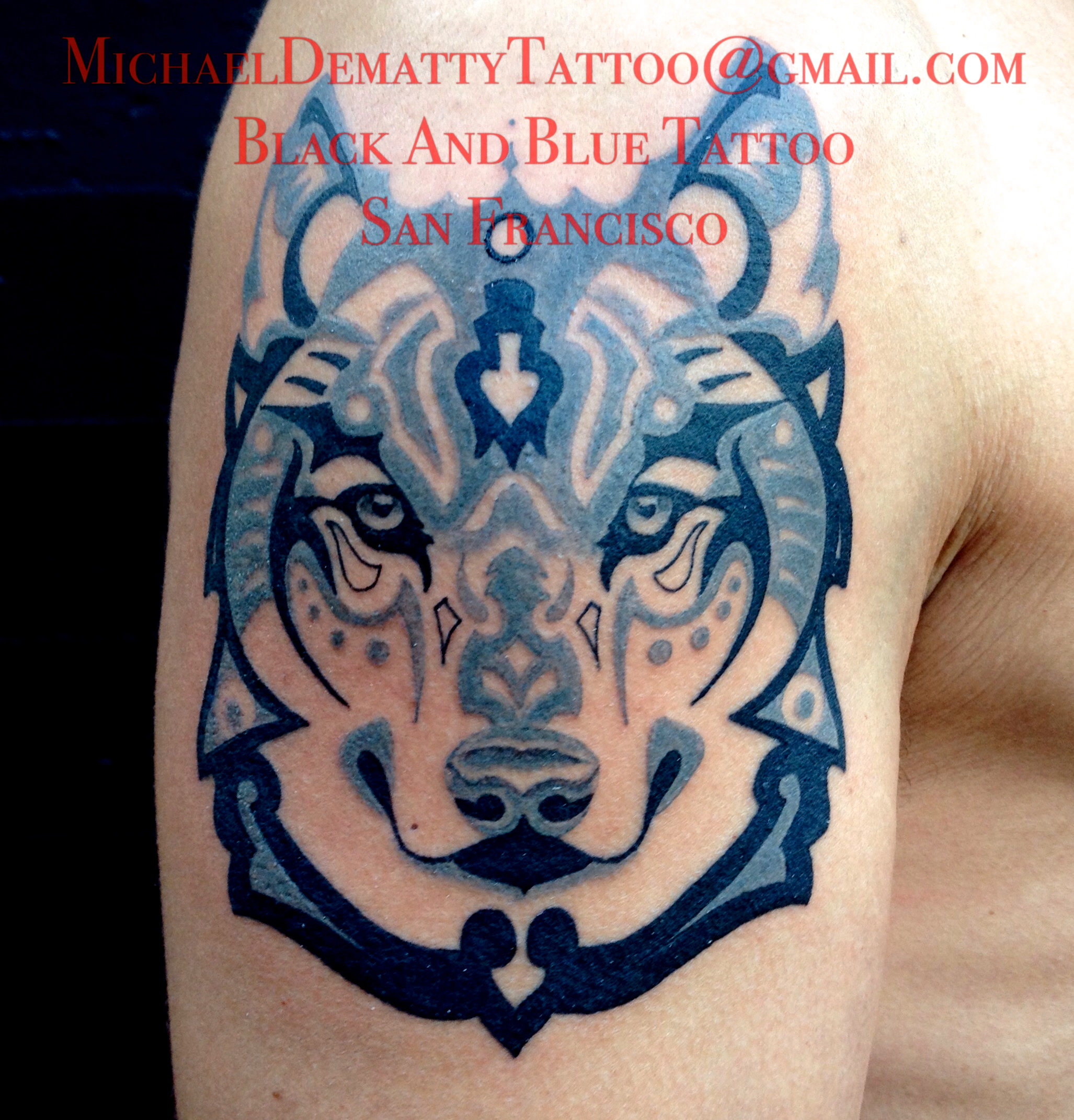 Wolf
