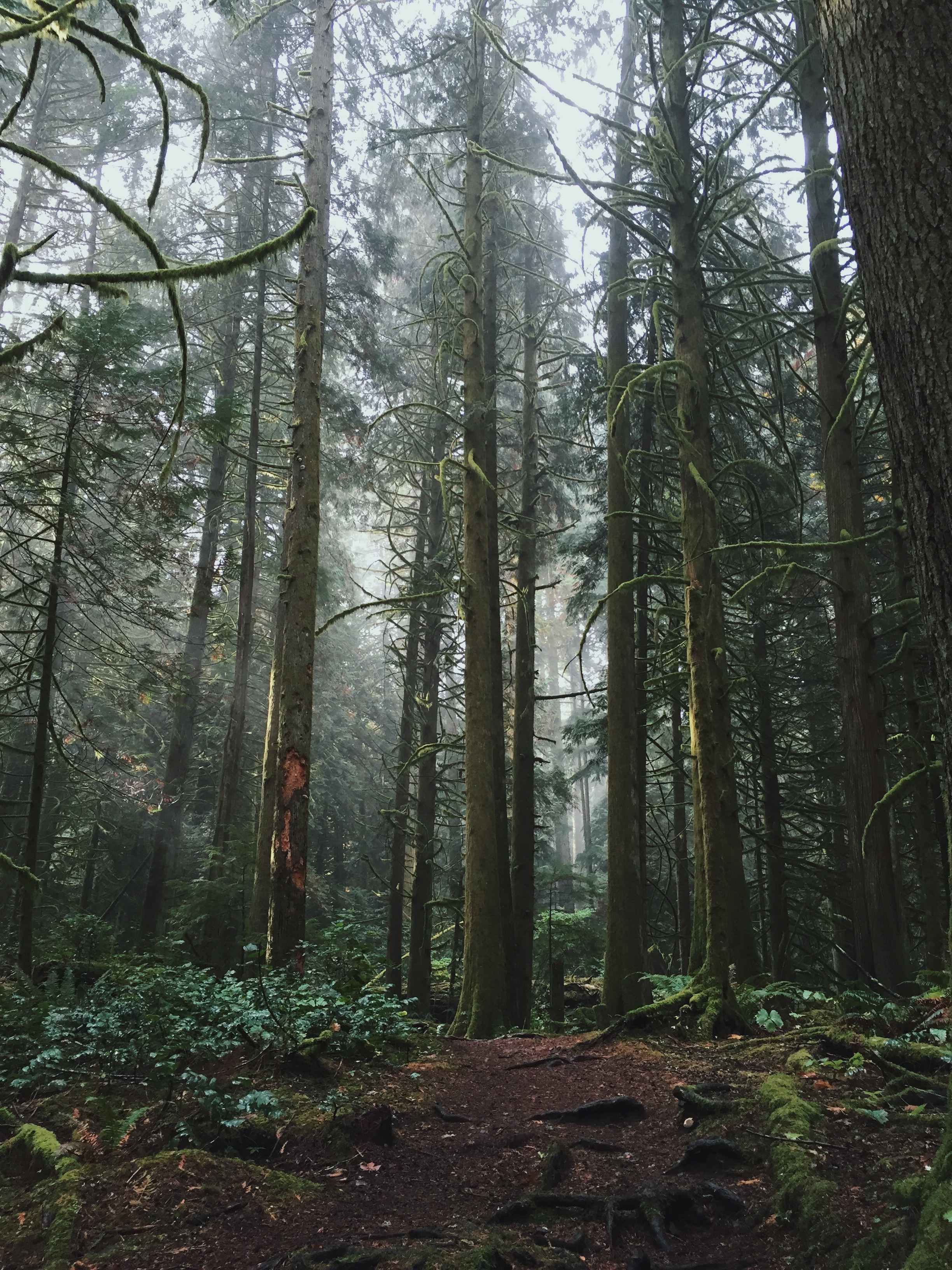 Gowlland Tod Provincial Park