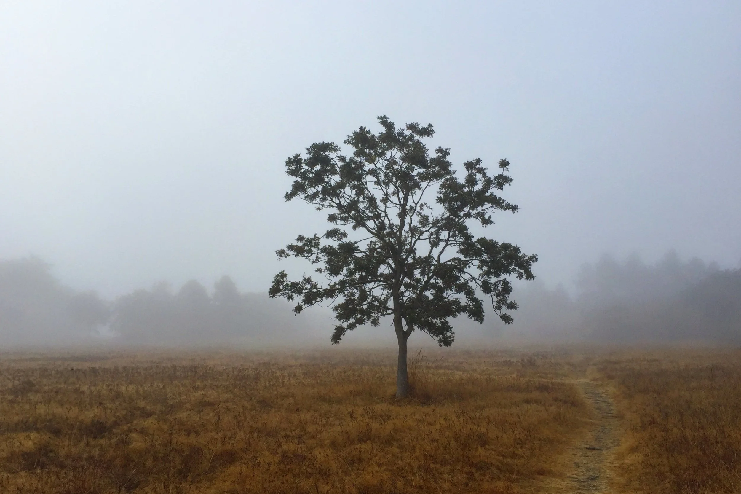  Beacon Hill Park, Victoria 