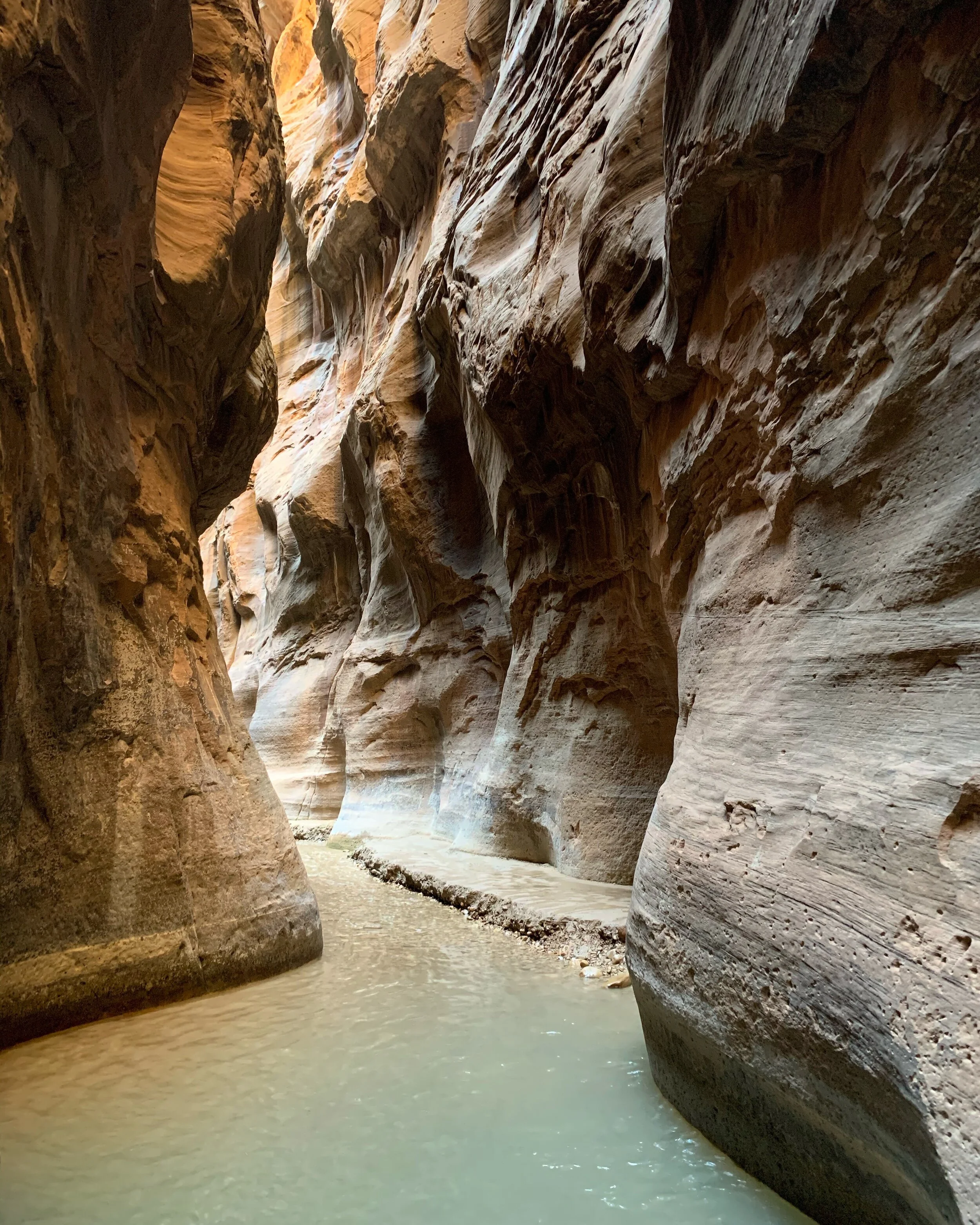  The Narrows, Zion National Park 