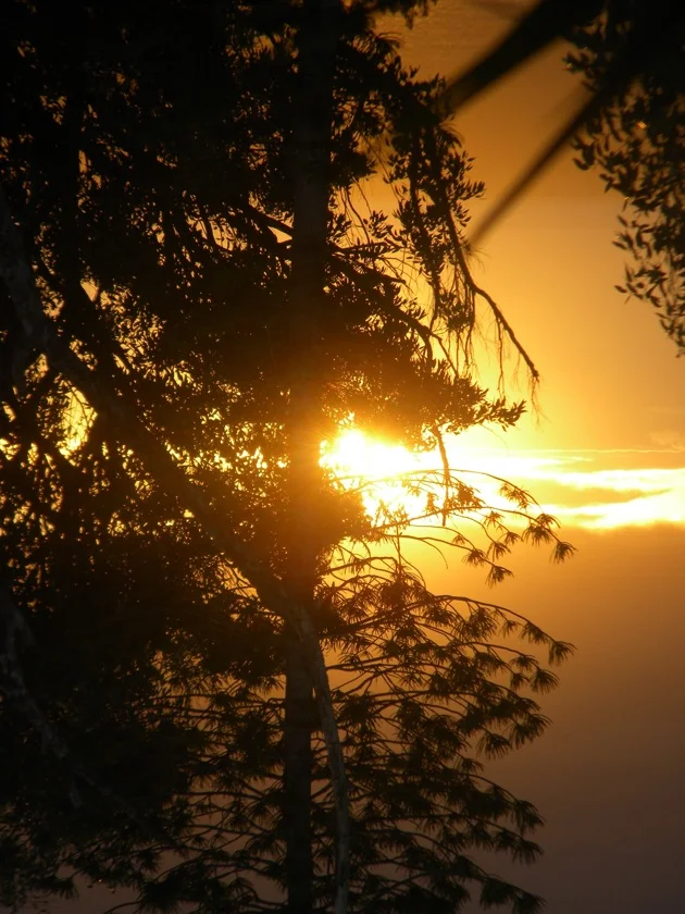 Visit the Lineage of Light Online School for Classes, Resources and Videos to Inspire exploration of this powerful work!
