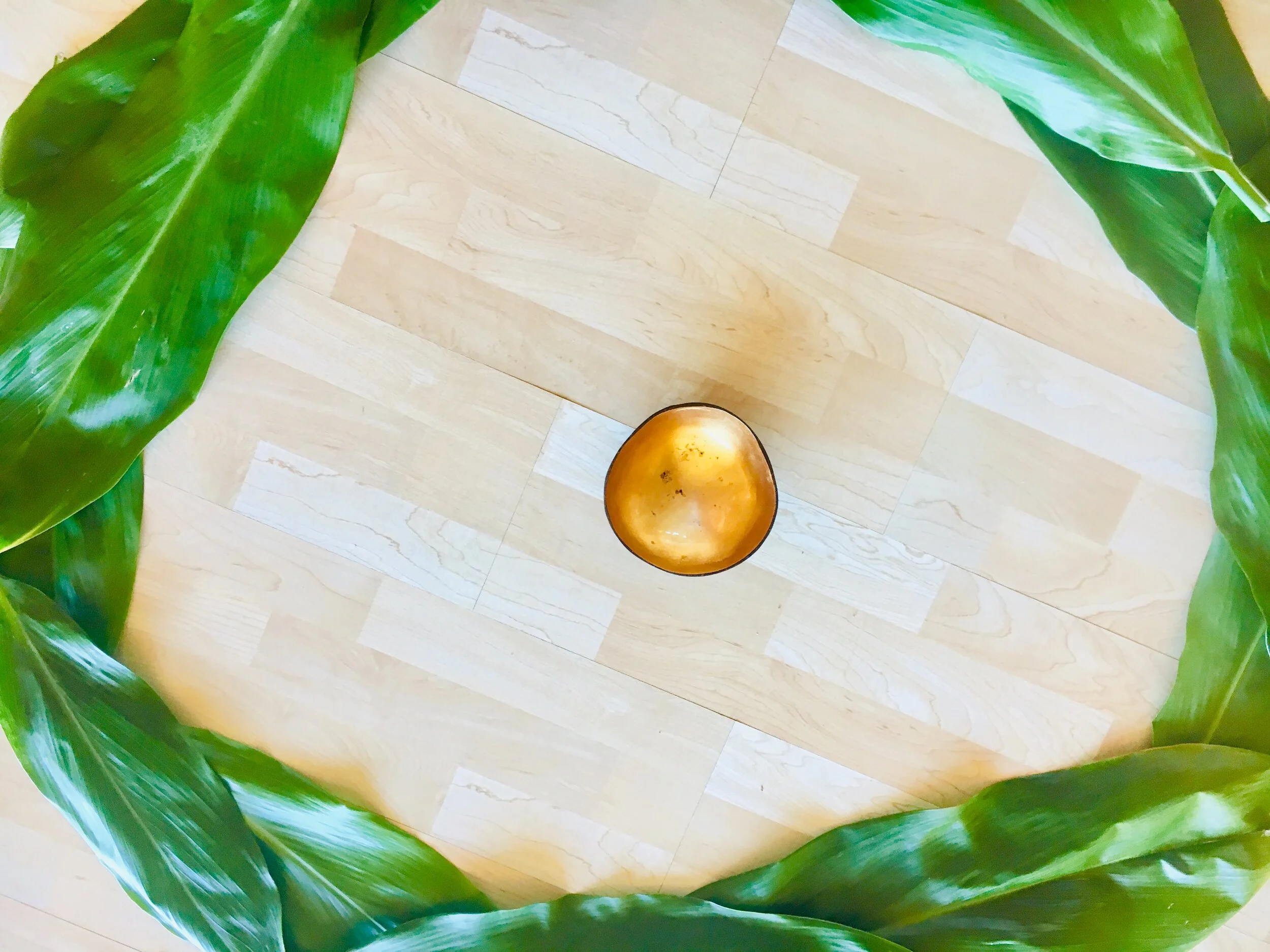 Discover the Embodied Indigenous Wisdom in your cells