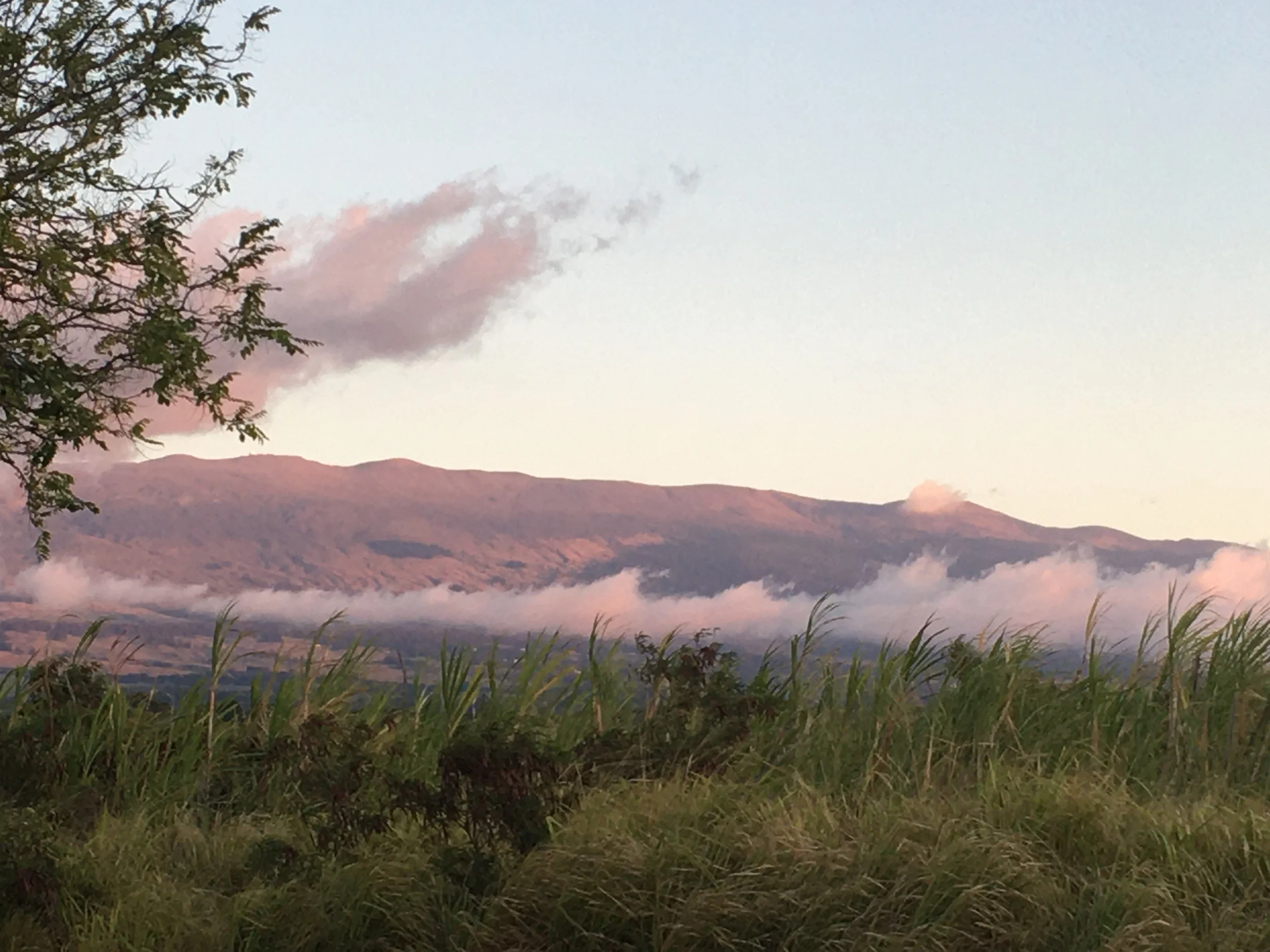 Pink Haleakala.JPG