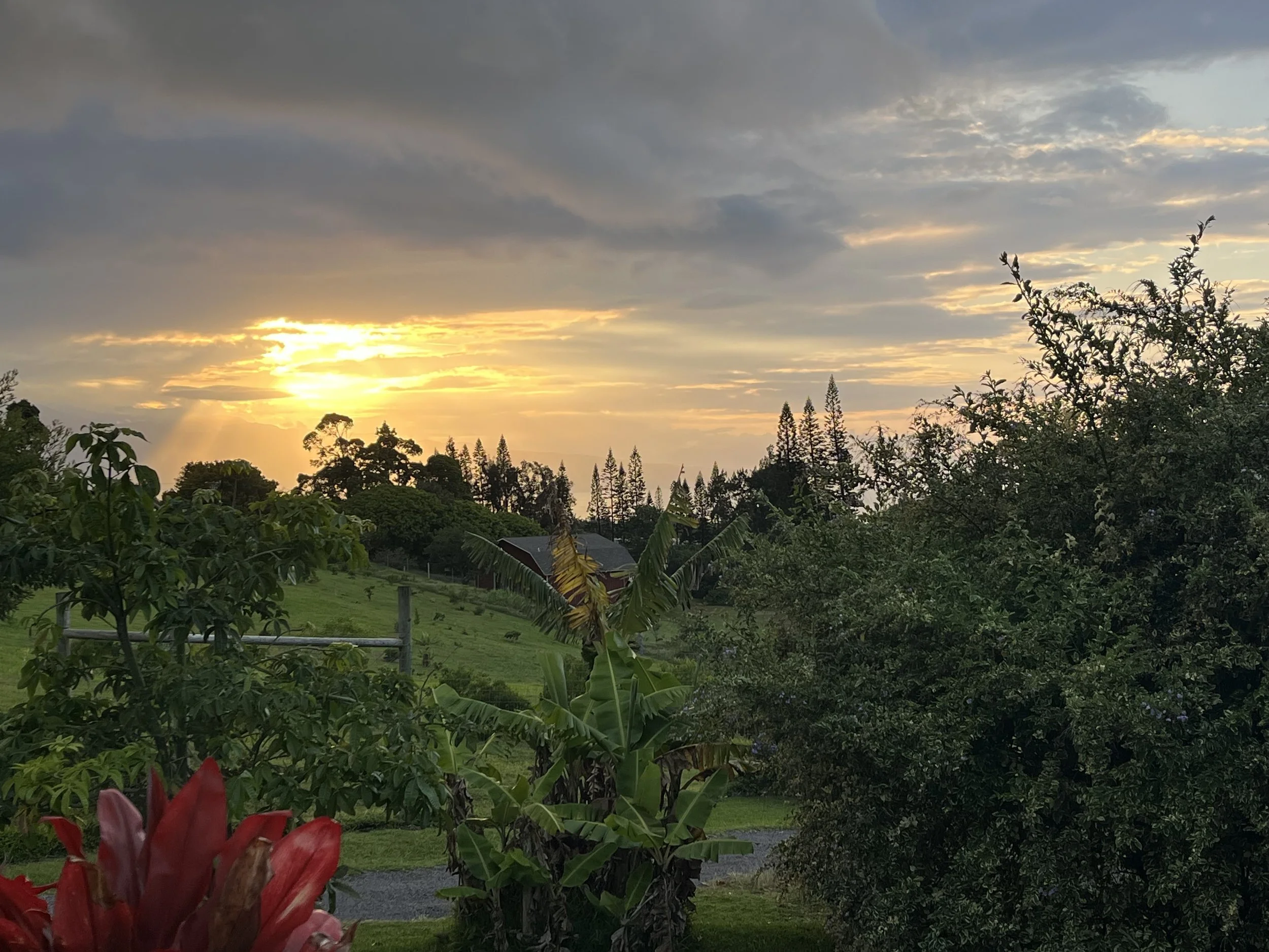 View from Poko Way.jpg