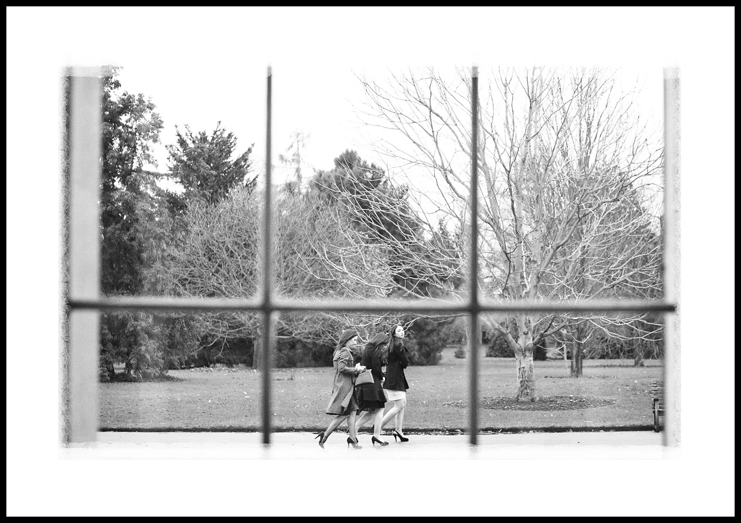 The arrival of guests. I'm in the warm, they're in the cold - brrrr... (50mm lens, 250th/F2.8, 800asa)